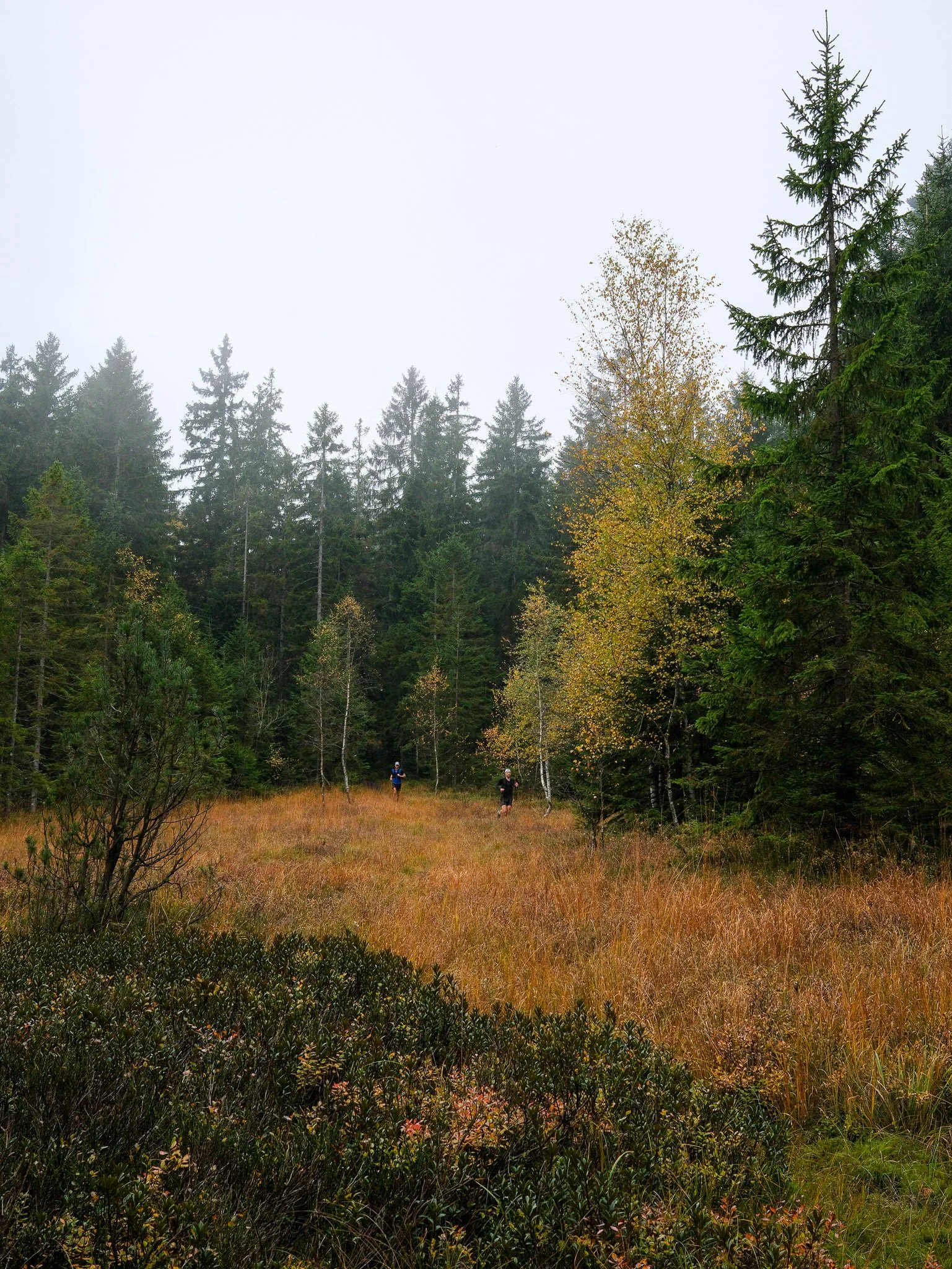 around schwarzenberg 2025