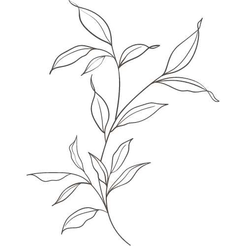 A minimalist line drawing of a leafy plant against a black background.