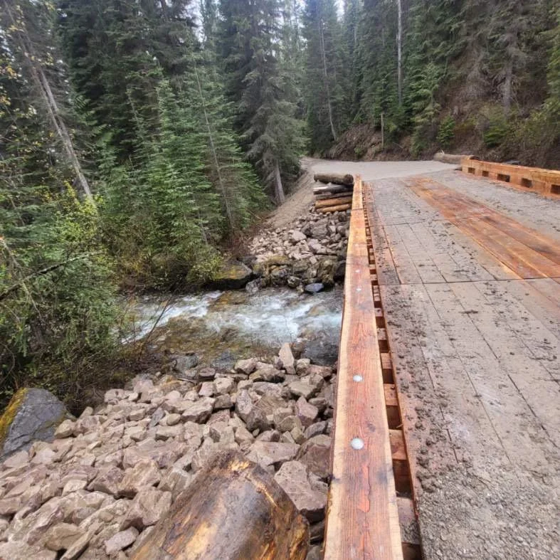 A bridge under construction crossing a small creek in a dense forest area.