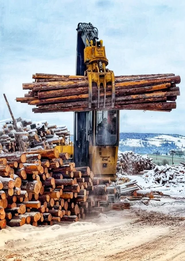 A logging machine lifting a bundle of cut logs, with snow-covered logs stacked nearby and a snowy landscape in the background.