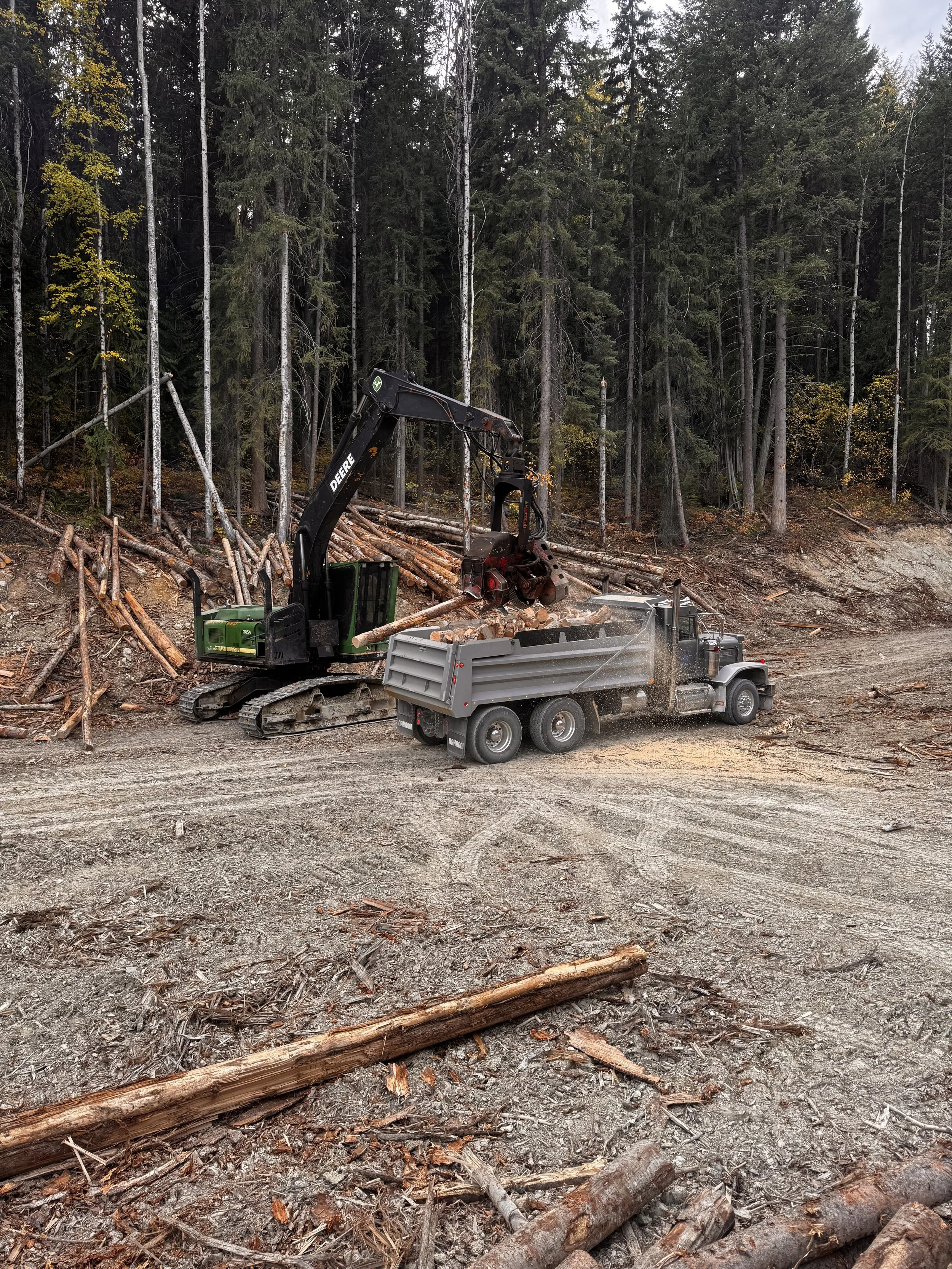 A forest clearing with a tracked excavator loading cut logs into a dump truck, with a backdrop of tall trees.