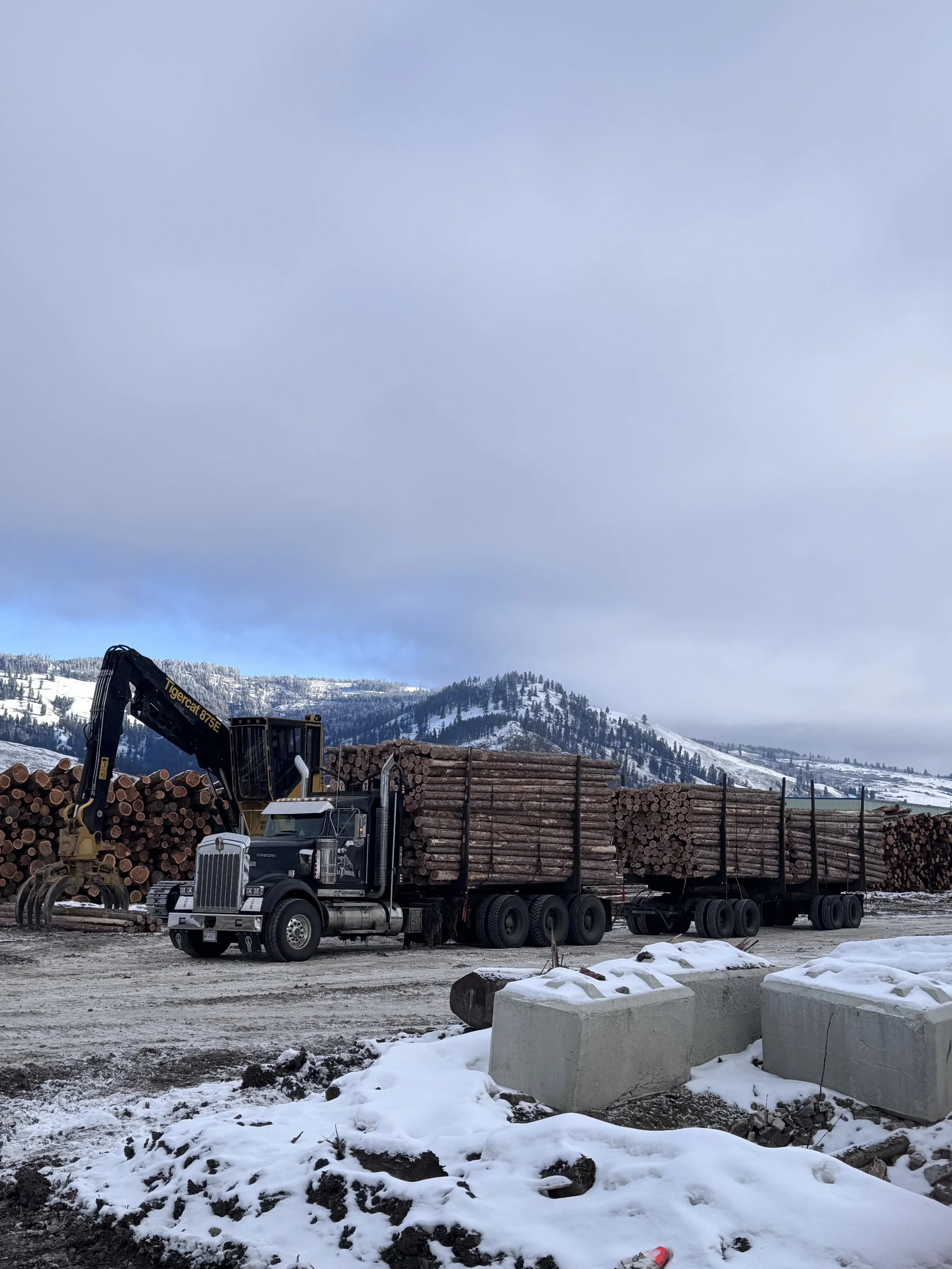 A logging truck with logs on a flatbed trailer parked on a snowy construction site, with mountains in the background.