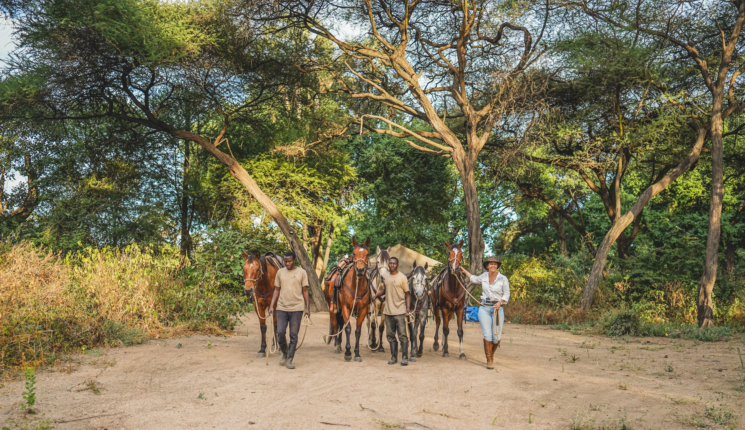 Group of people leading horses through a forested area during the daytime