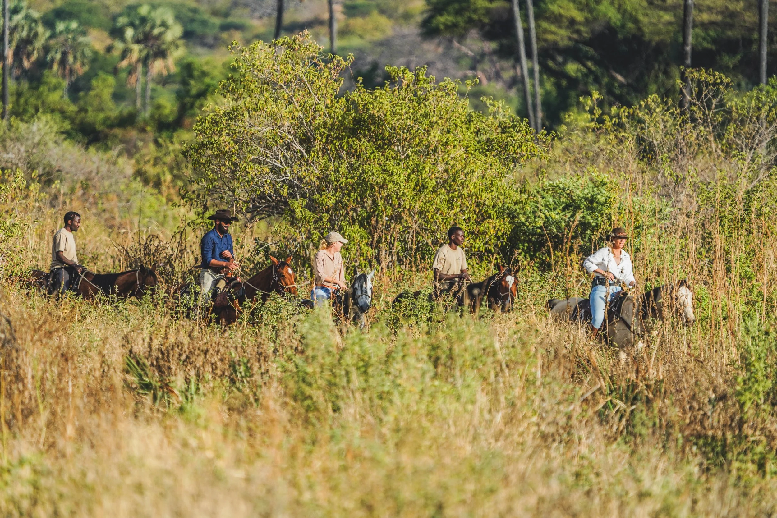 A group of five people trail riding horses through a lush, green, rural landscape with trees and tall grass.