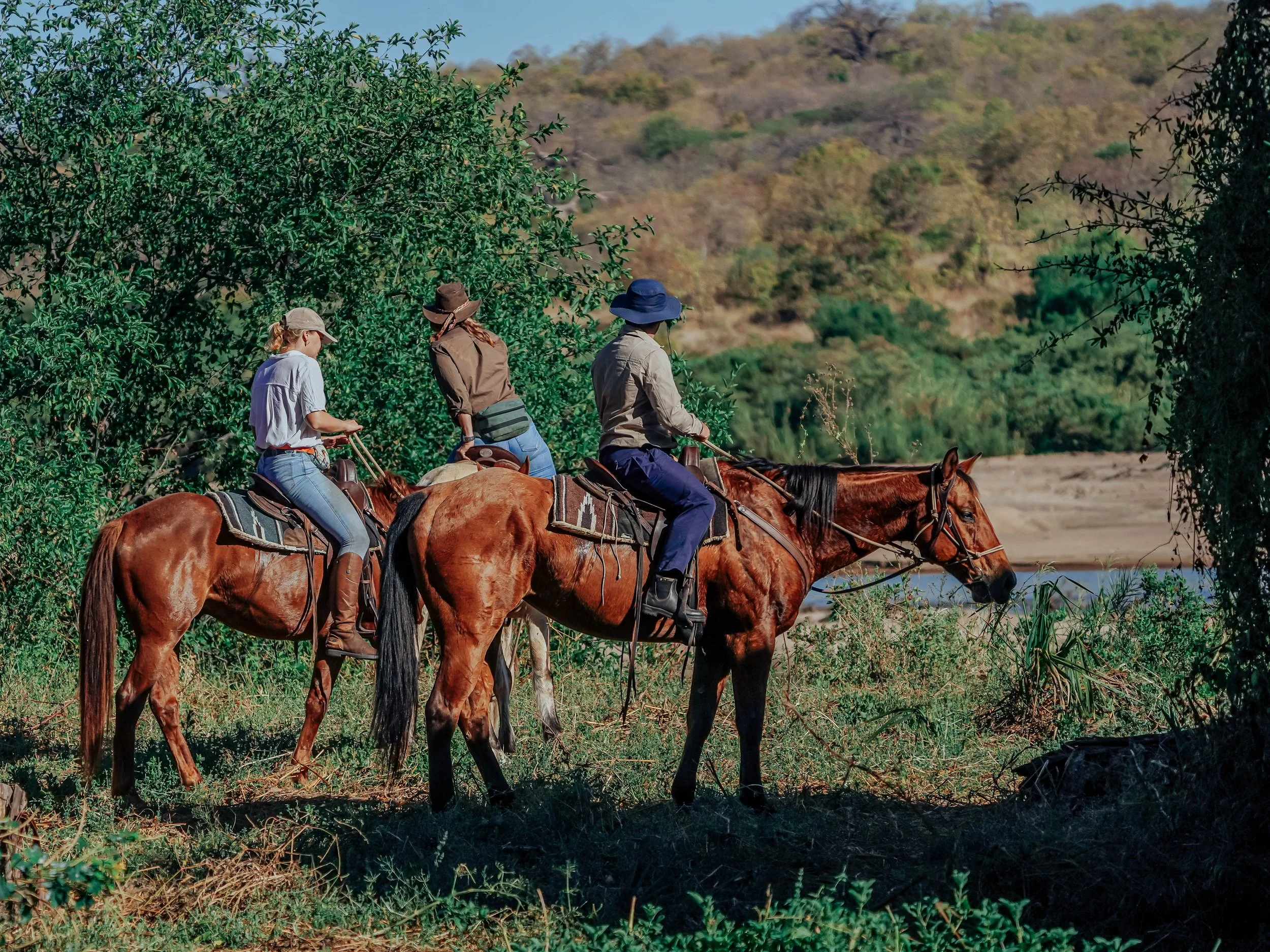 Three people riding horses through a green, sparsely wooded landscape with hills in Ruaha. Tanzania.