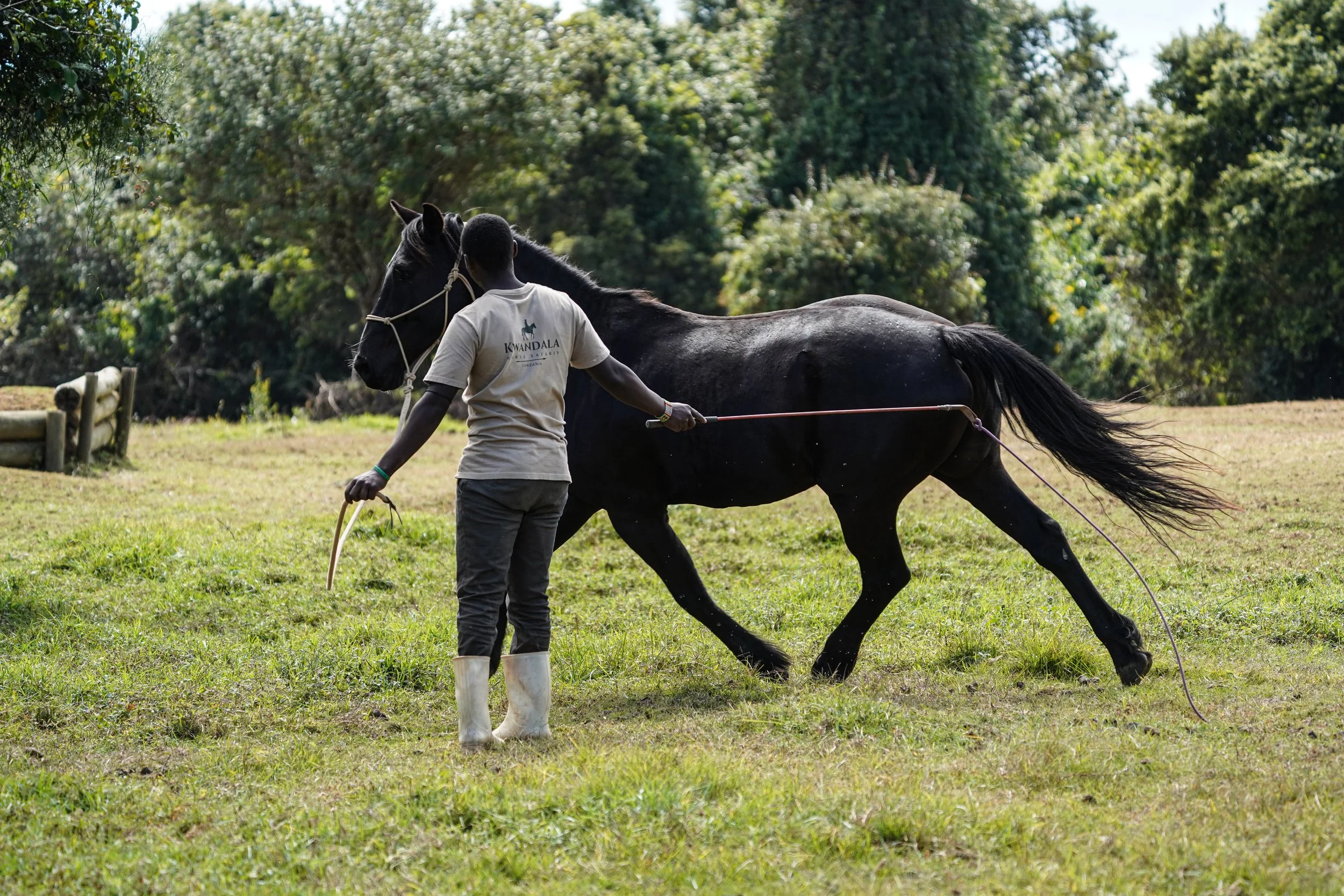 Notes from the saddle