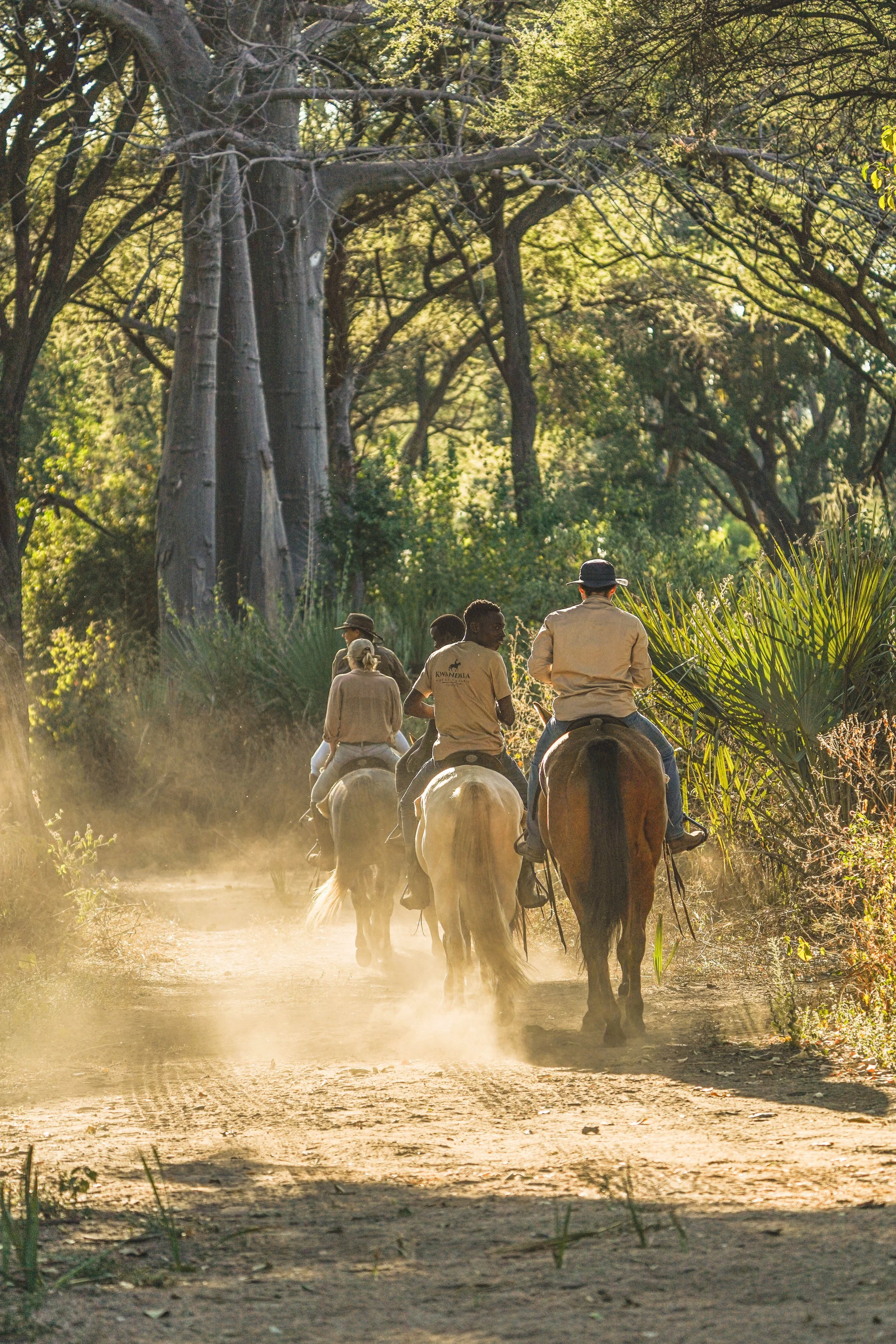 People riding horses on a dirt trail through a lush, green forest with tall trees and leafy foliage.