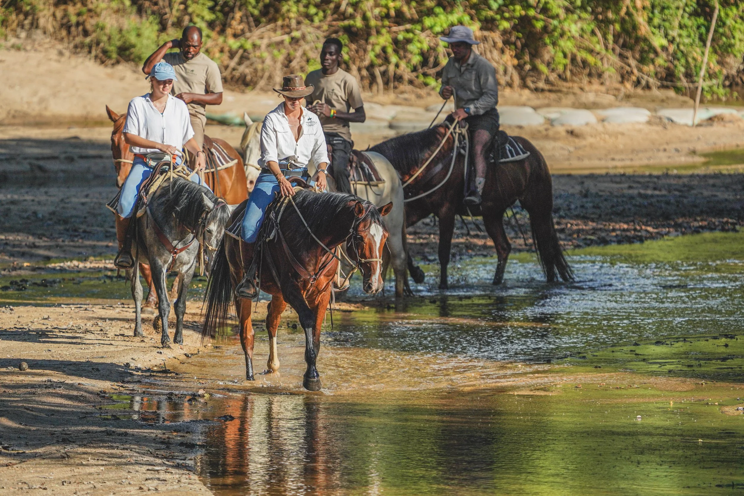Group of five people riding horses through shallow water near a wooded area.