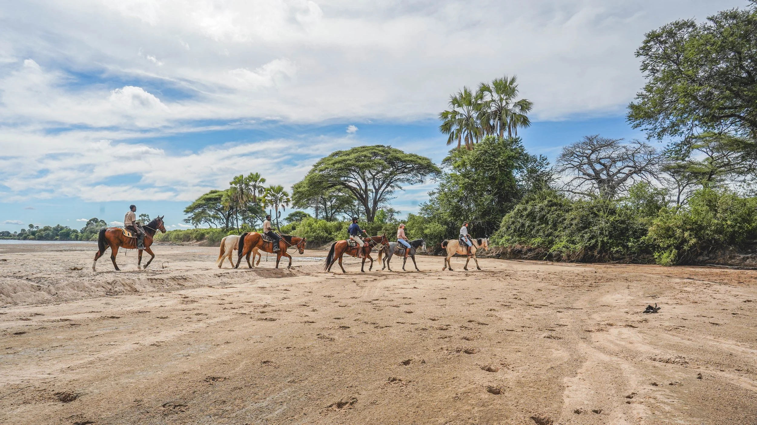 Five people riding horses along a sandy riverbank with lush green trees and a partly cloudy sky in the background.