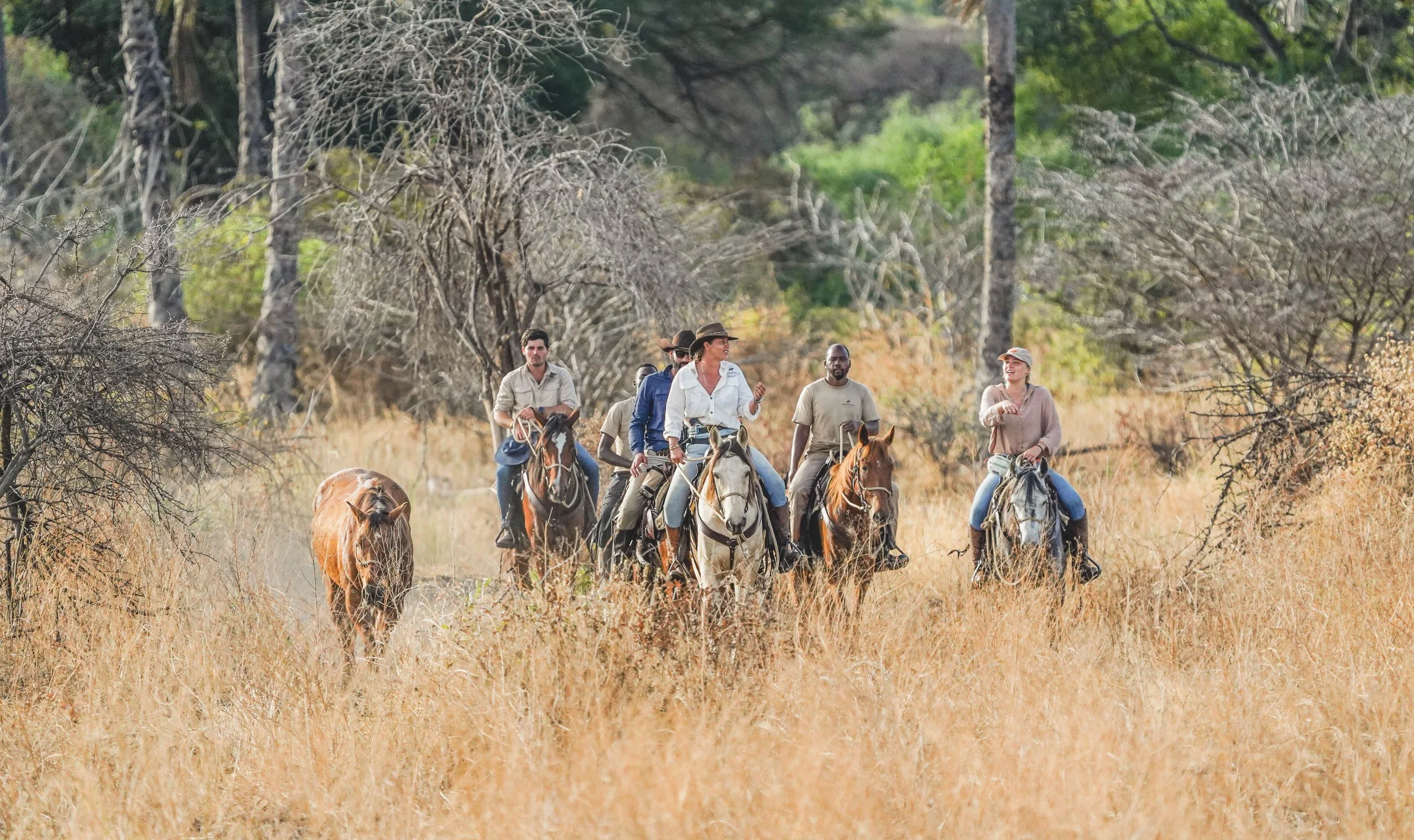A group of seven people riding horses through a grassy, wooded area with dry vegetation and leafless trees. Ona horseback riding safari in ruaha.