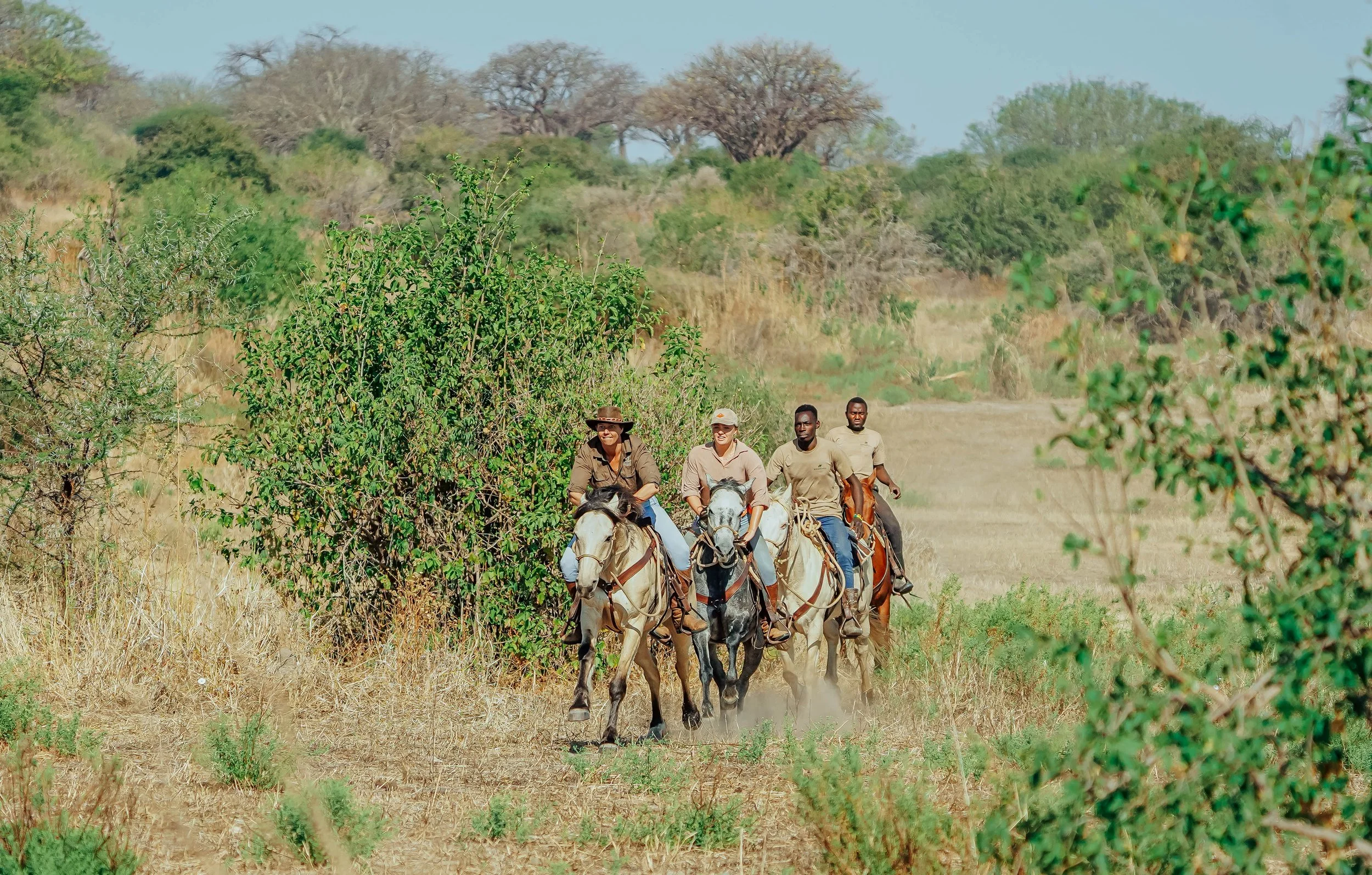 Four people riding horses through a dry, green, shrub-covered landscape under a clear blue sky.