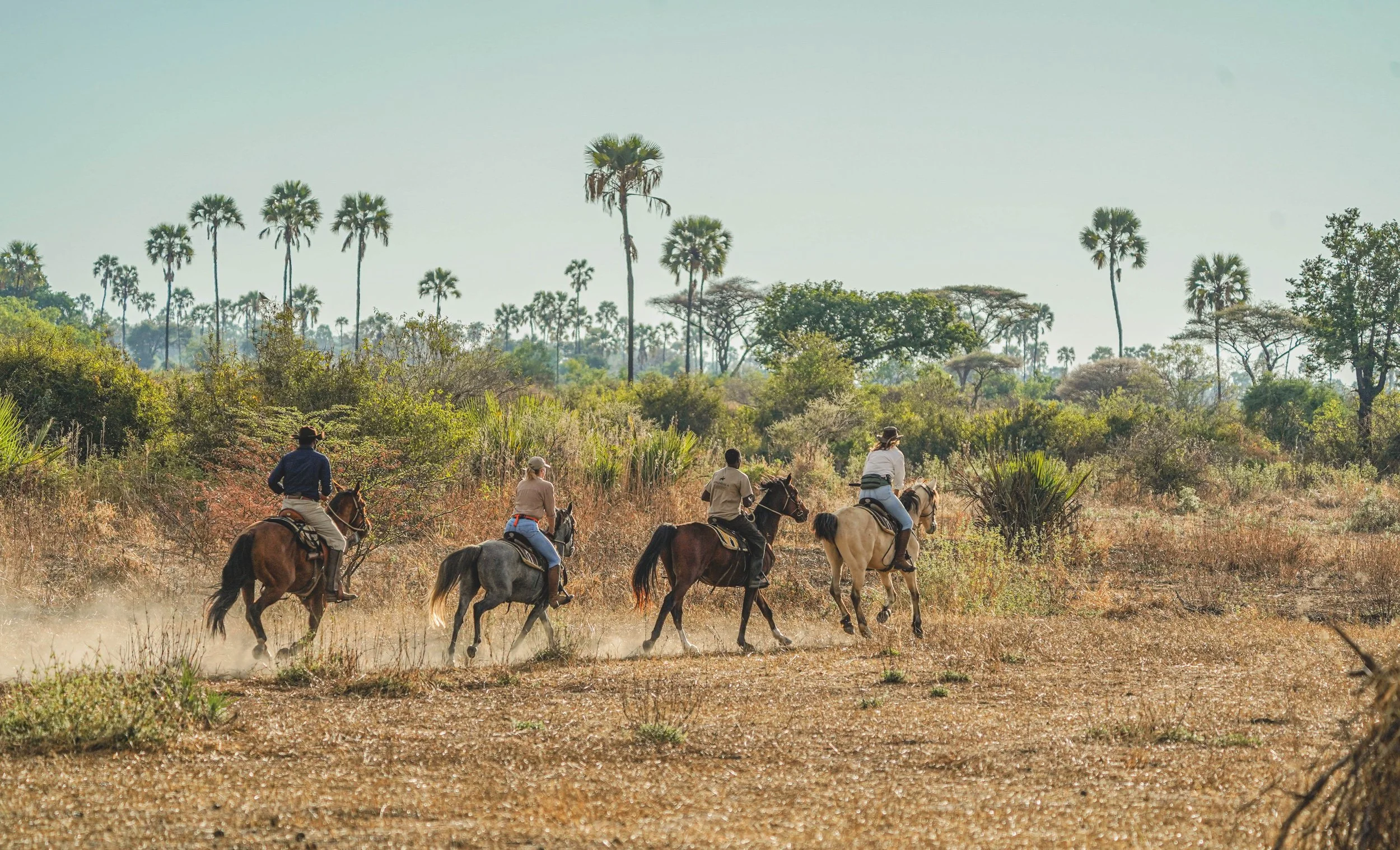 A group of people horseback riding in a dry, grassy area with sparse trees and tall palm trees in the background.