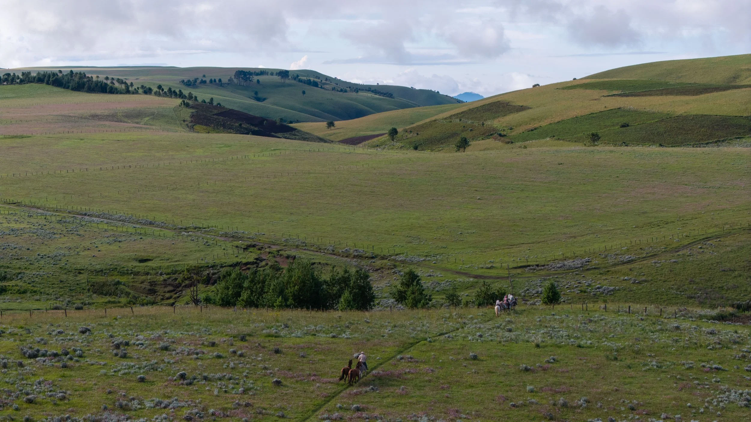 Rolling green hills with scattered trees, rocky patches, and a few people riding horses in the foreground under a cloudy sky.