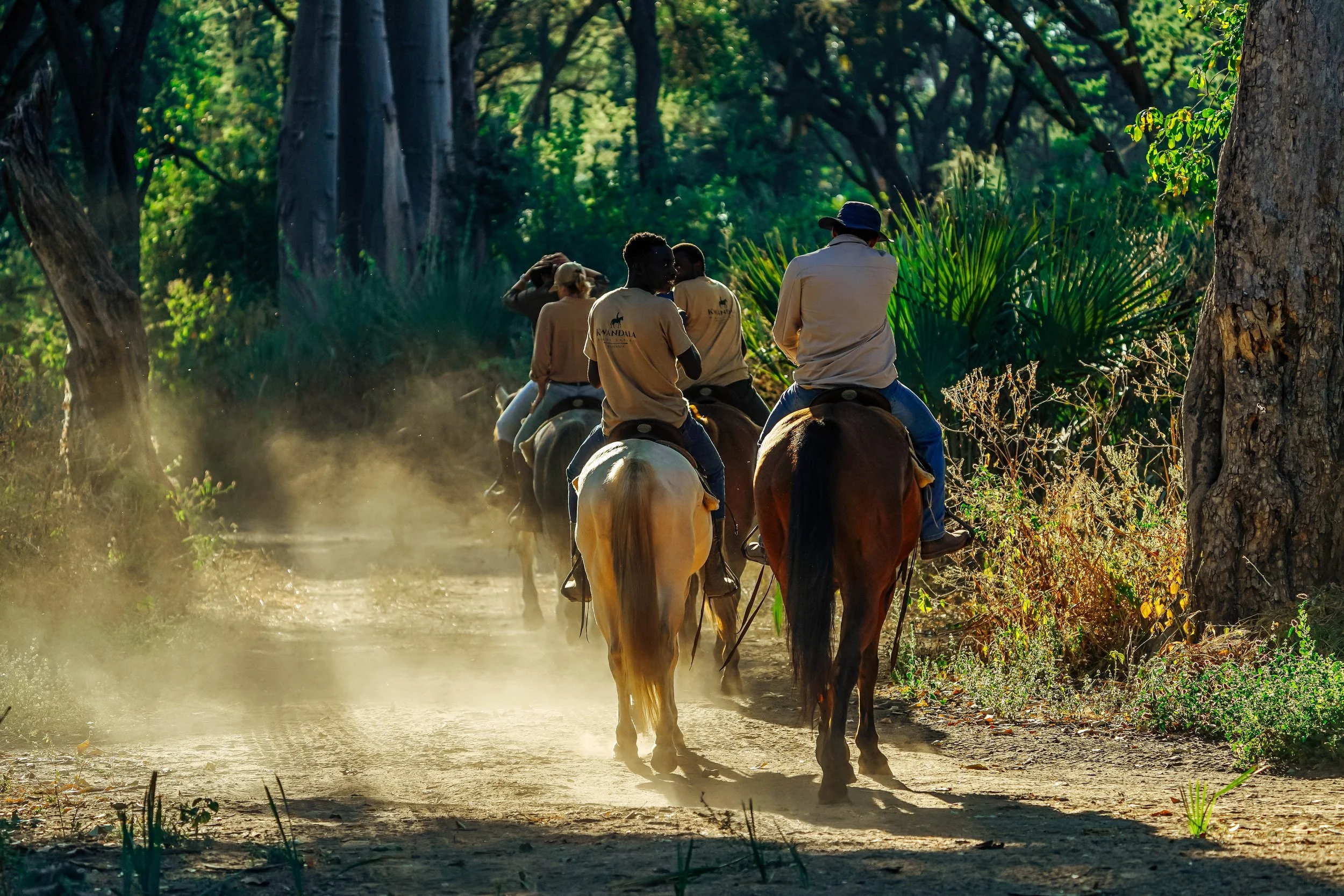 Group of people riding horses along a dirt path in a lush, green forest during daytime.
