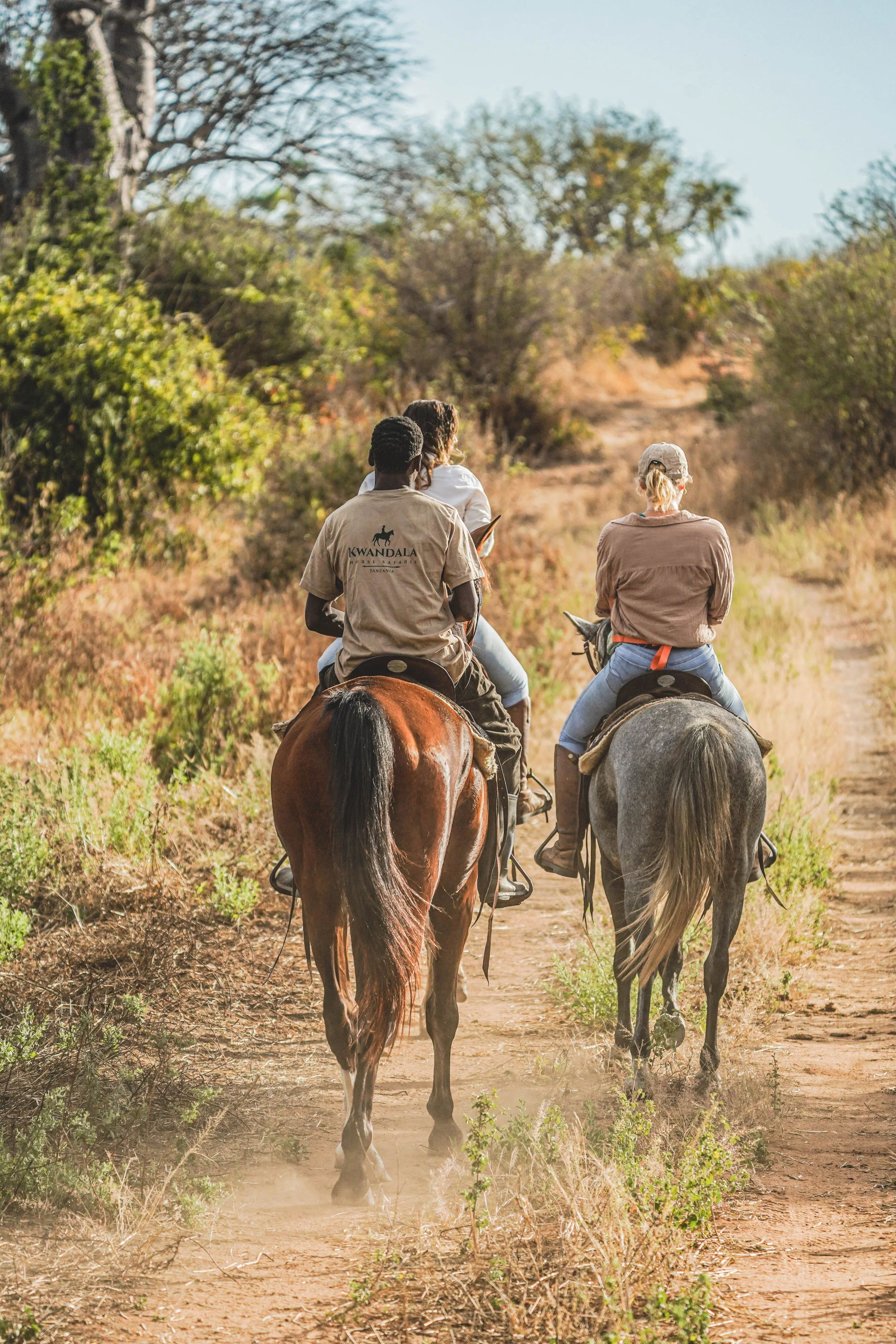 horse safari in ruaha