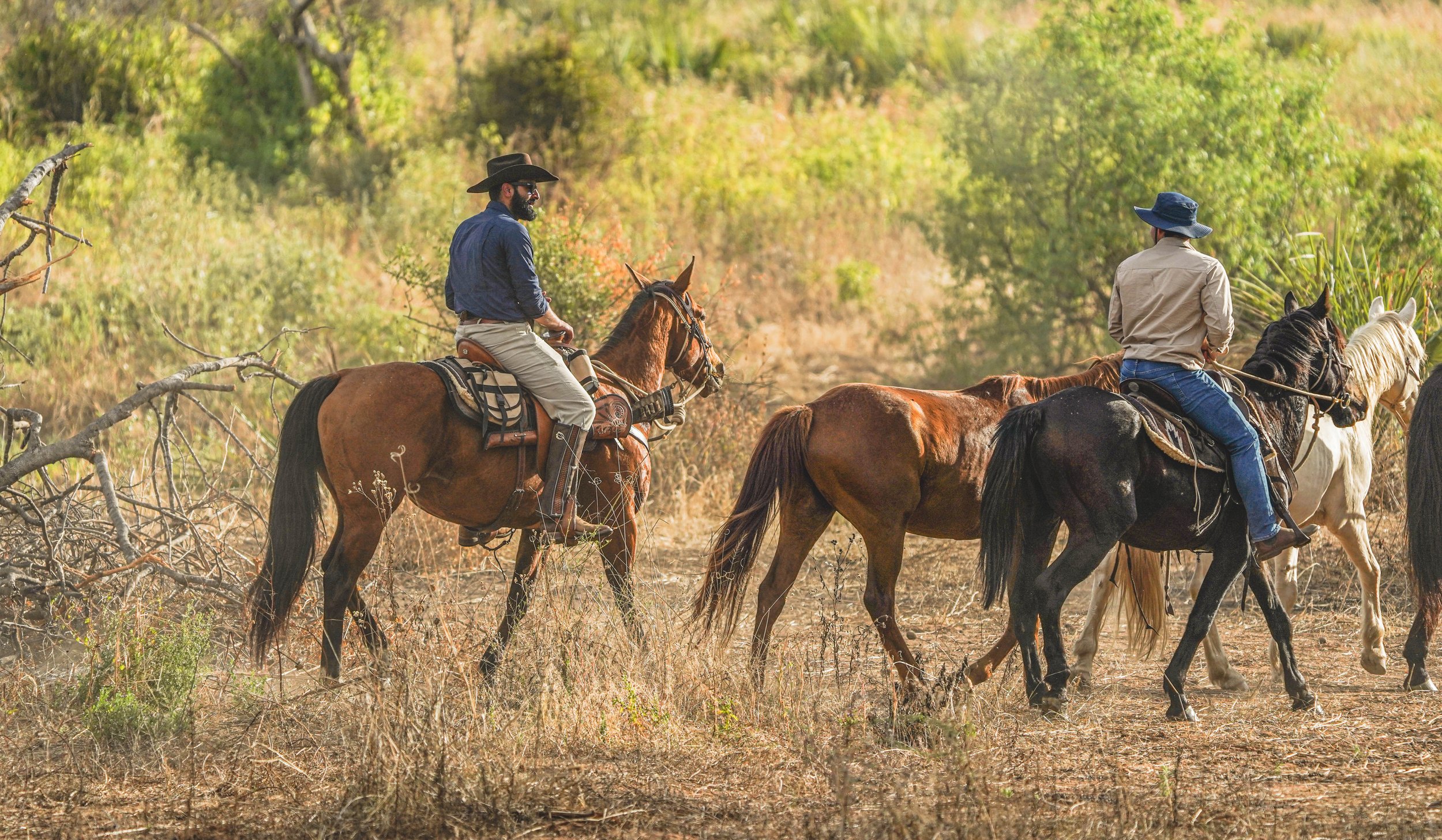 Two people riding horses through a grassy, wooded area with trees and bushes.