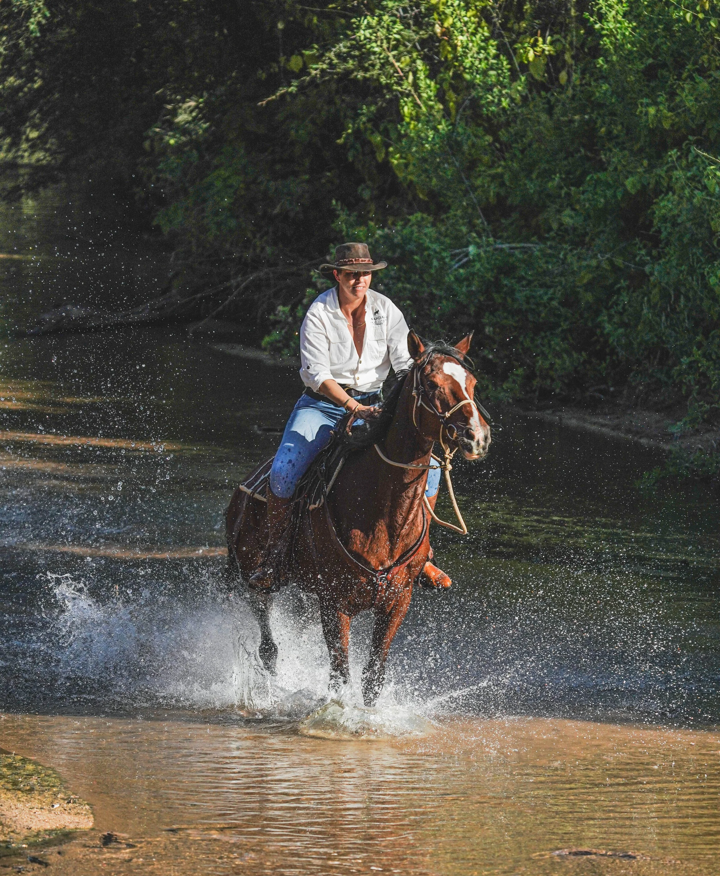 A person riding a horse through a shallow river or creek in a forested area during daytime.