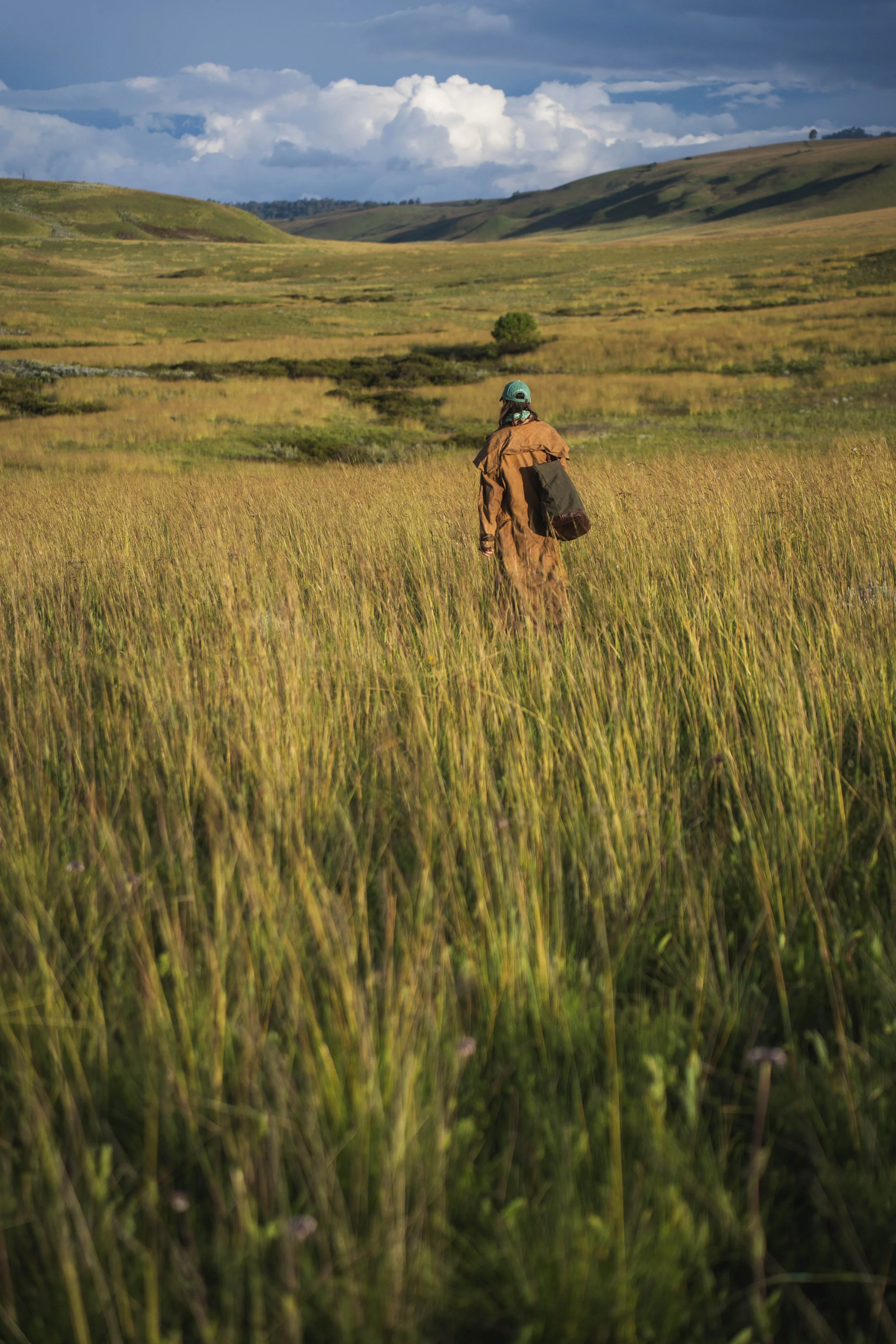 A person walks in a grassy field with rolling hills in the background and a partly cloudy sky.