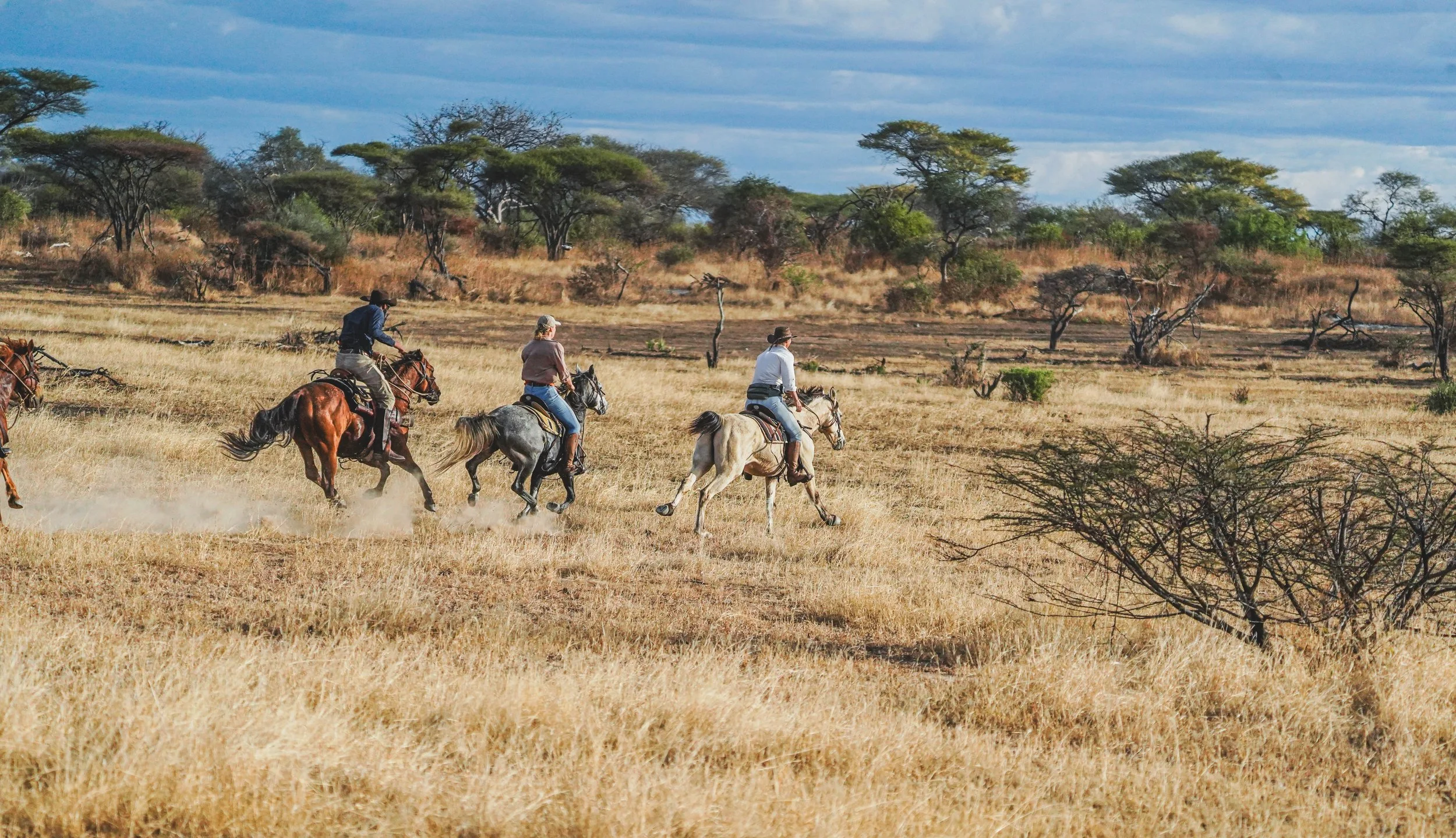 People riding horses across a grassy plains landscape with sparse trees under a partly cloudy sky.