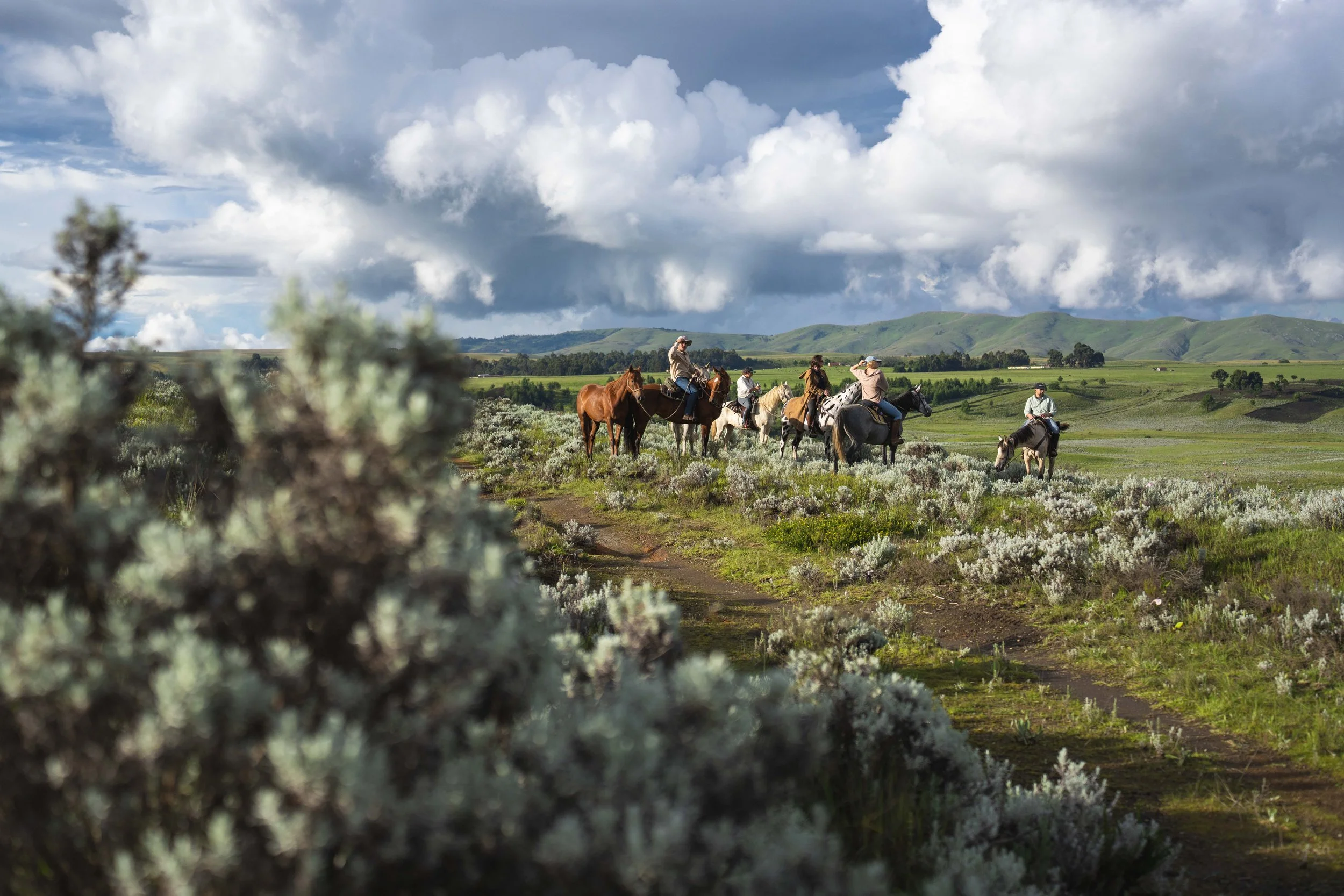 A group of people horseback riding  safari on the trail through a lush green field under a partly cloudy sky, with rolling hills in the background.