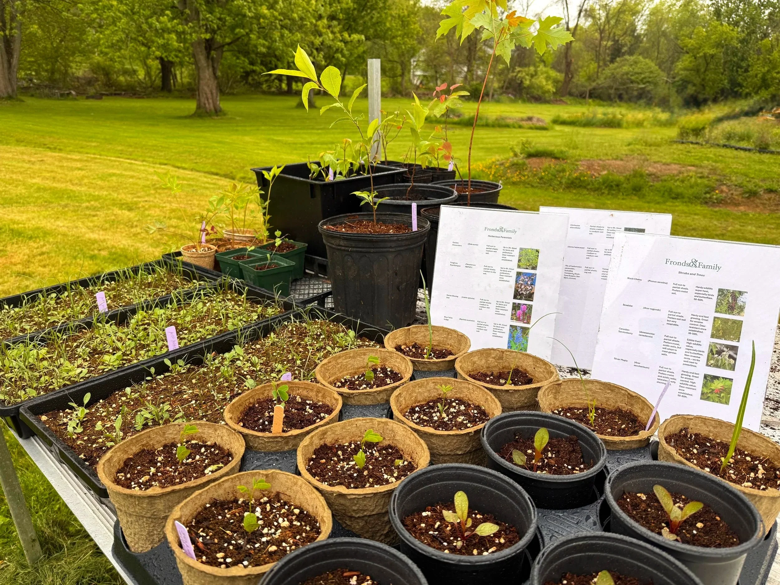Everybody Gardens: Weekly Community Gardening and Native Seedling Sale @ Russellton Community Garden