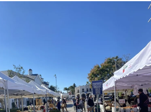 Screenshot 2026-02-09 at 11.46.06 AM.png