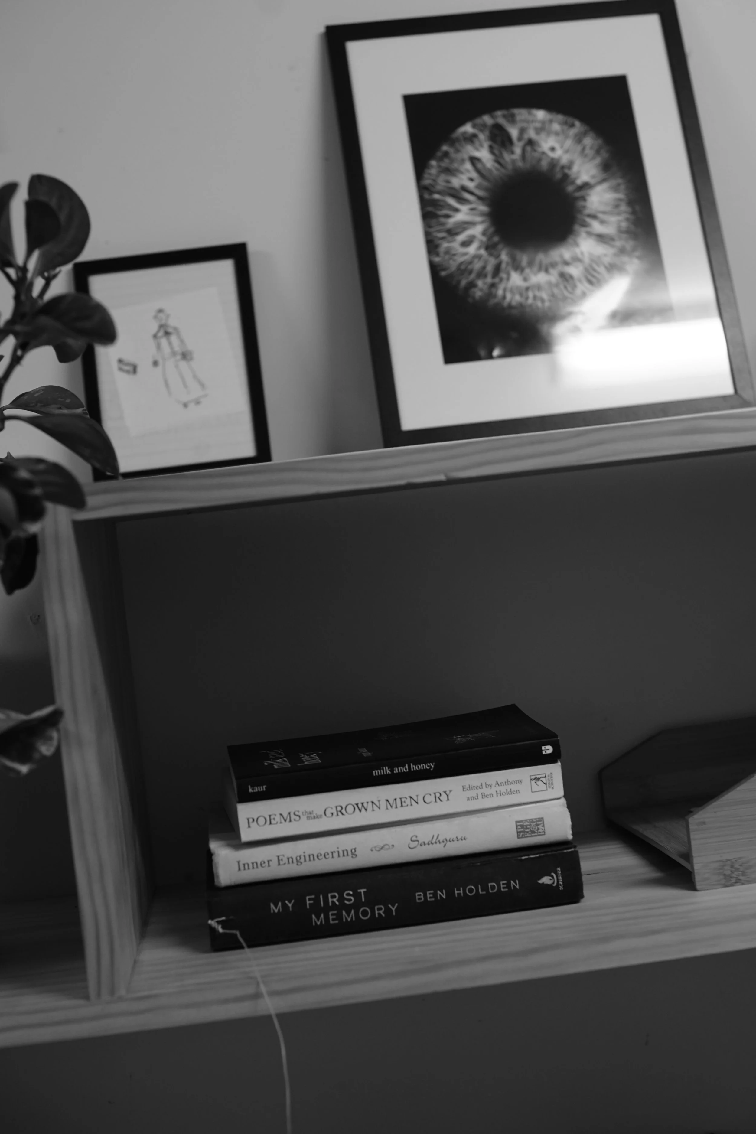 Therapeutic House Organisation