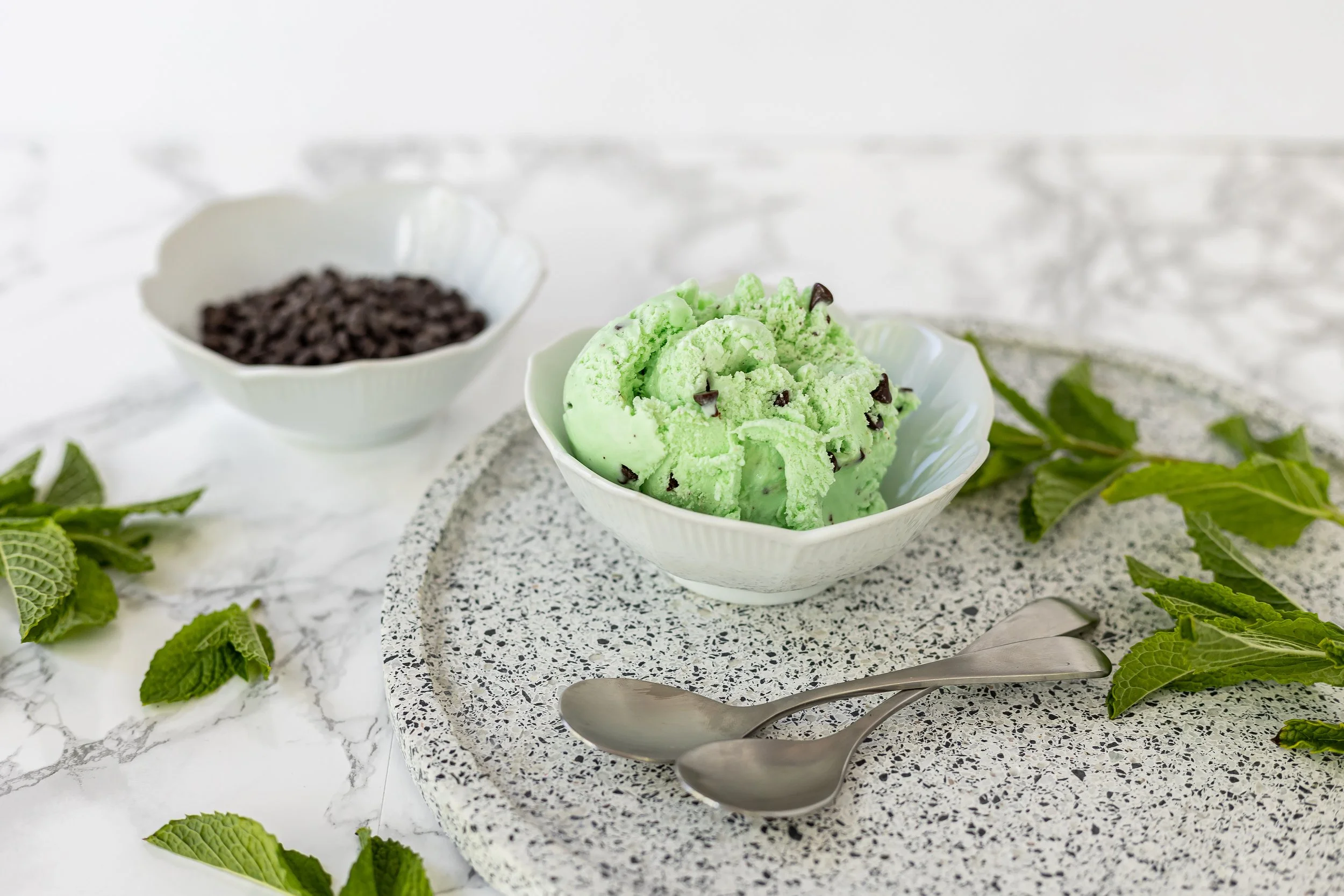 Chocolate Chip Mint 3.jpg