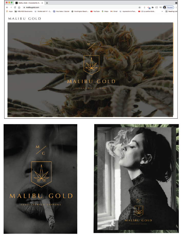 Logo / Brand Identity