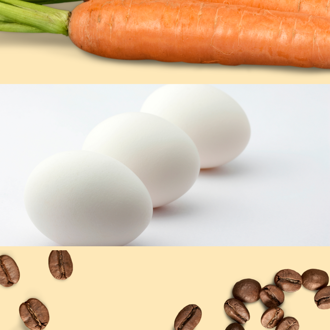 Family Character Clubhouse: The Egg, The Carrot, and The Coffee Bean