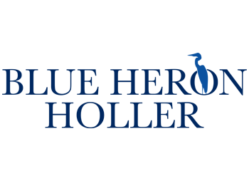 Blue Heron Holler