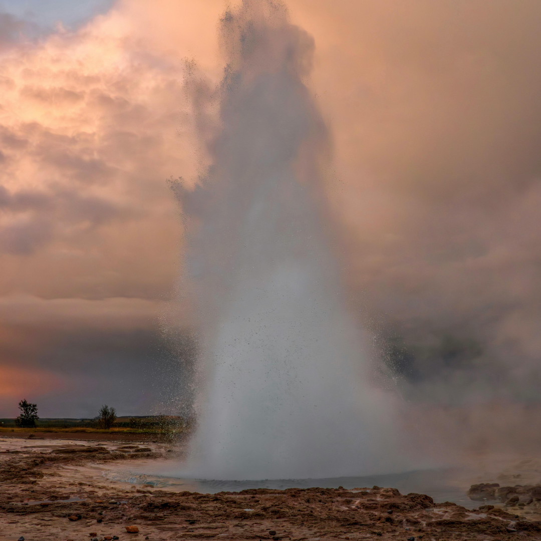 Family Character Clubhouse: Old Faithful