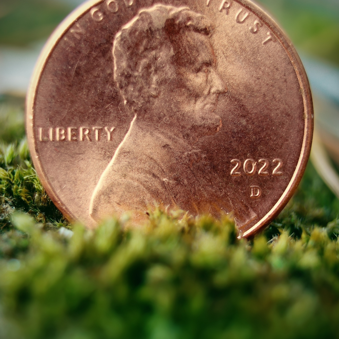 Getting to Know You: A Penny For Your Thoughts