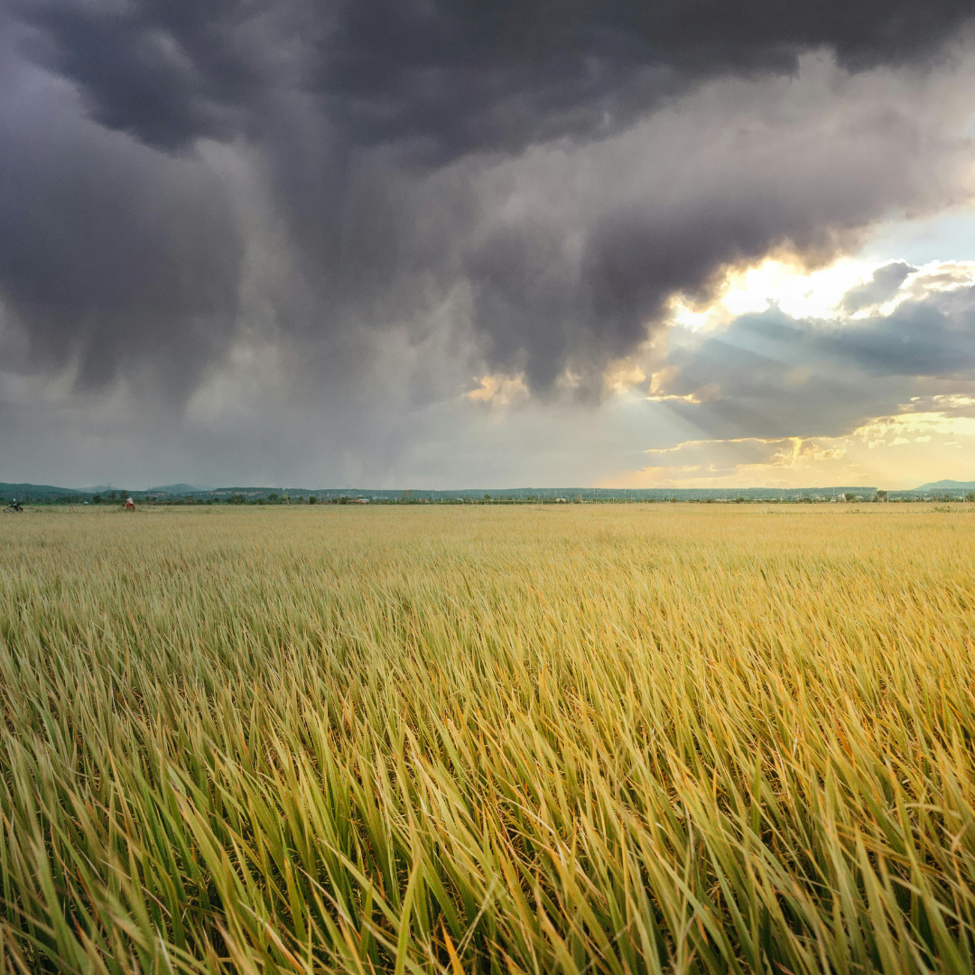Fun with Character: Sleeping Through  the Storm