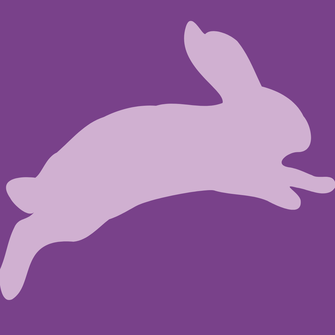 Getting to Know You: Bunny Bounce