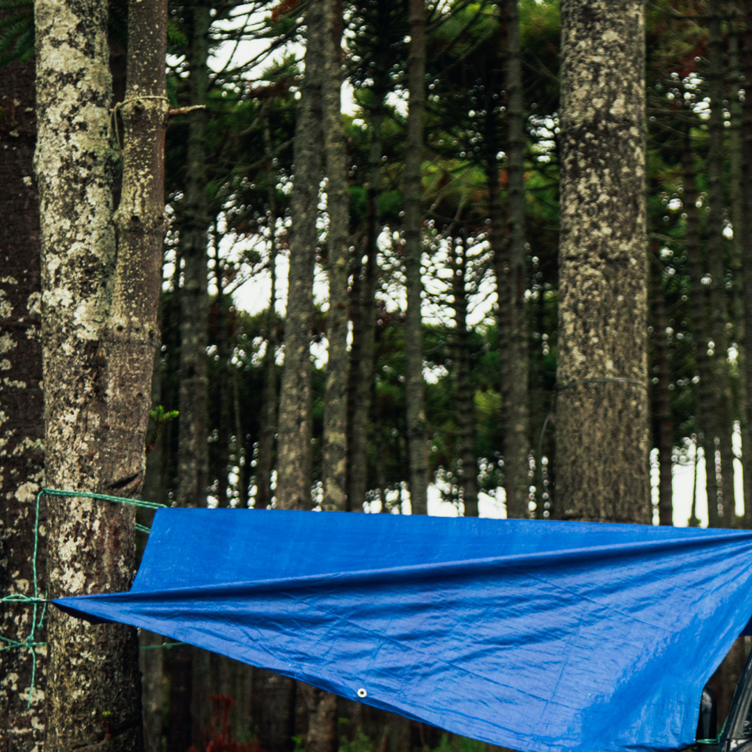 Getting to Know You: Tarp Hole