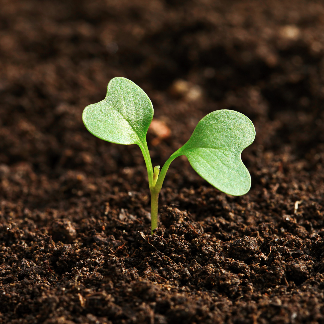 Connecting Humility to the Science Curriculum  