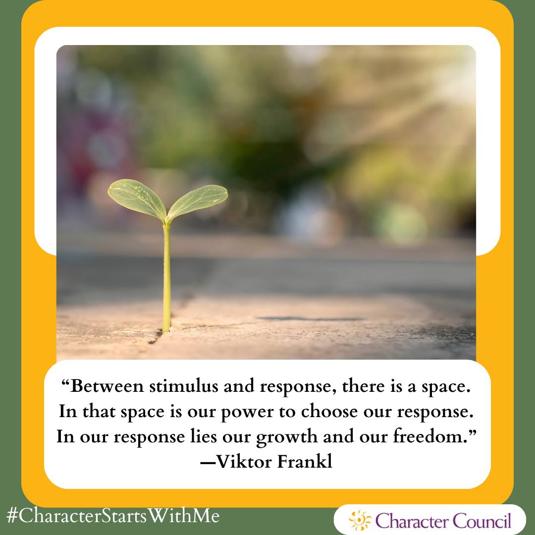 Character Quotables: Responsibility