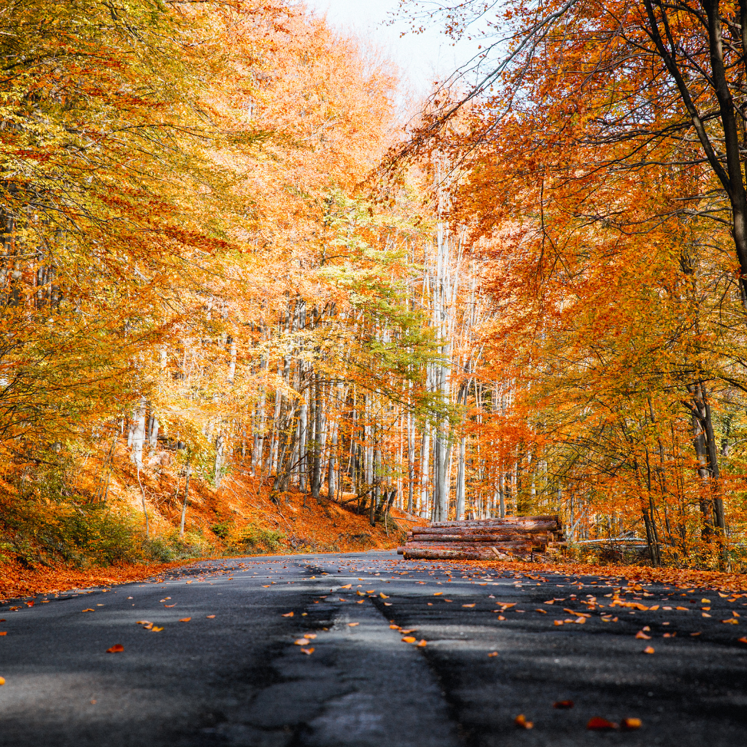 First Day of Autumn