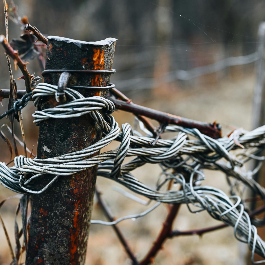Fun with Character: A Knotty Situation