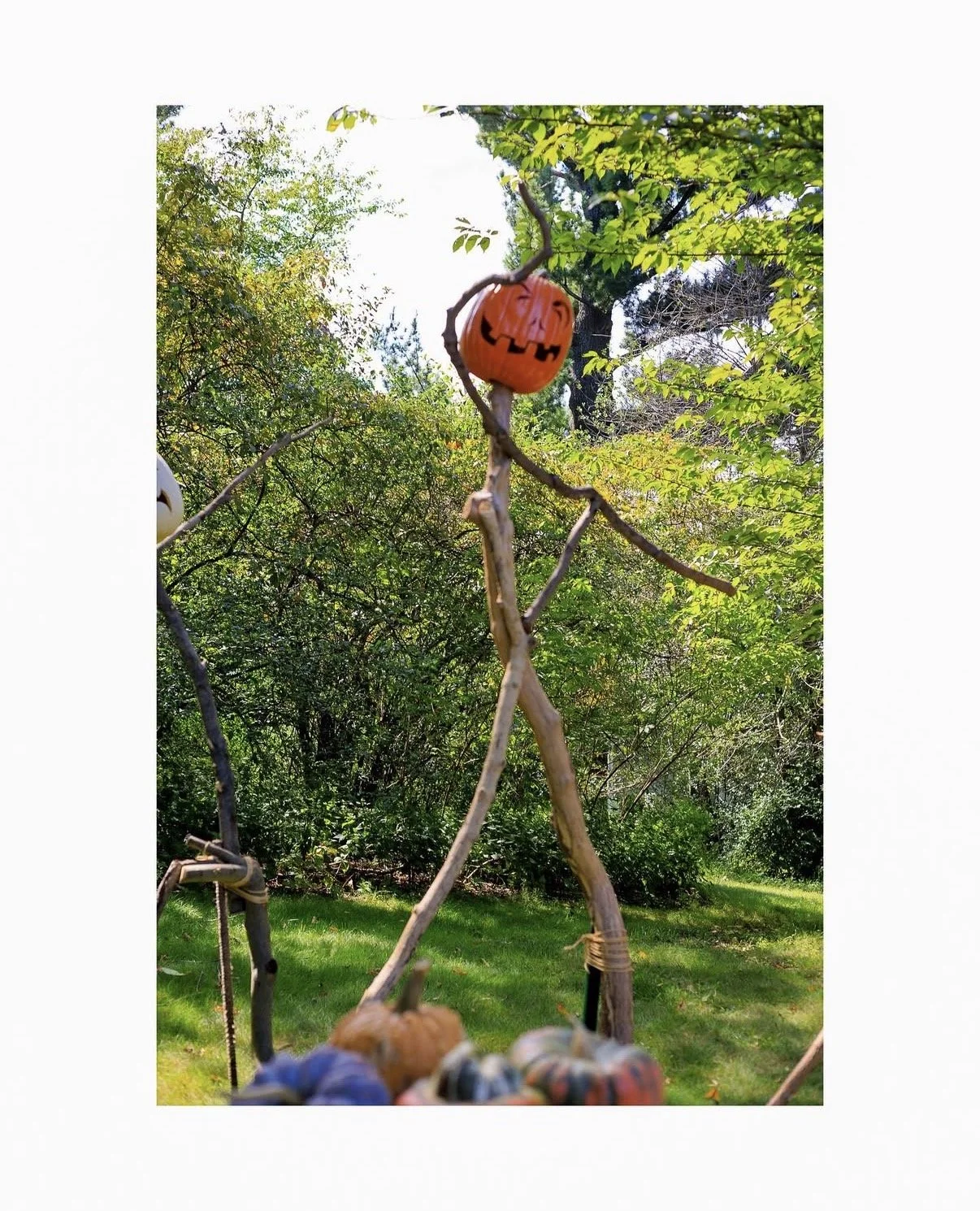 Carmen De La Cruz @nemracsphotos