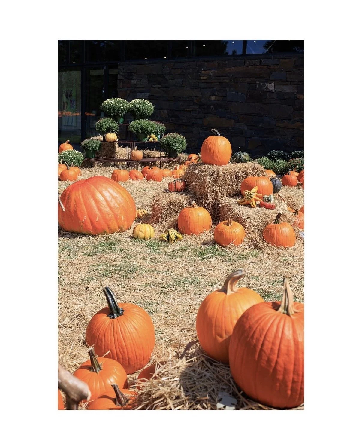 Carmen De La Cruz @nemracsphotos