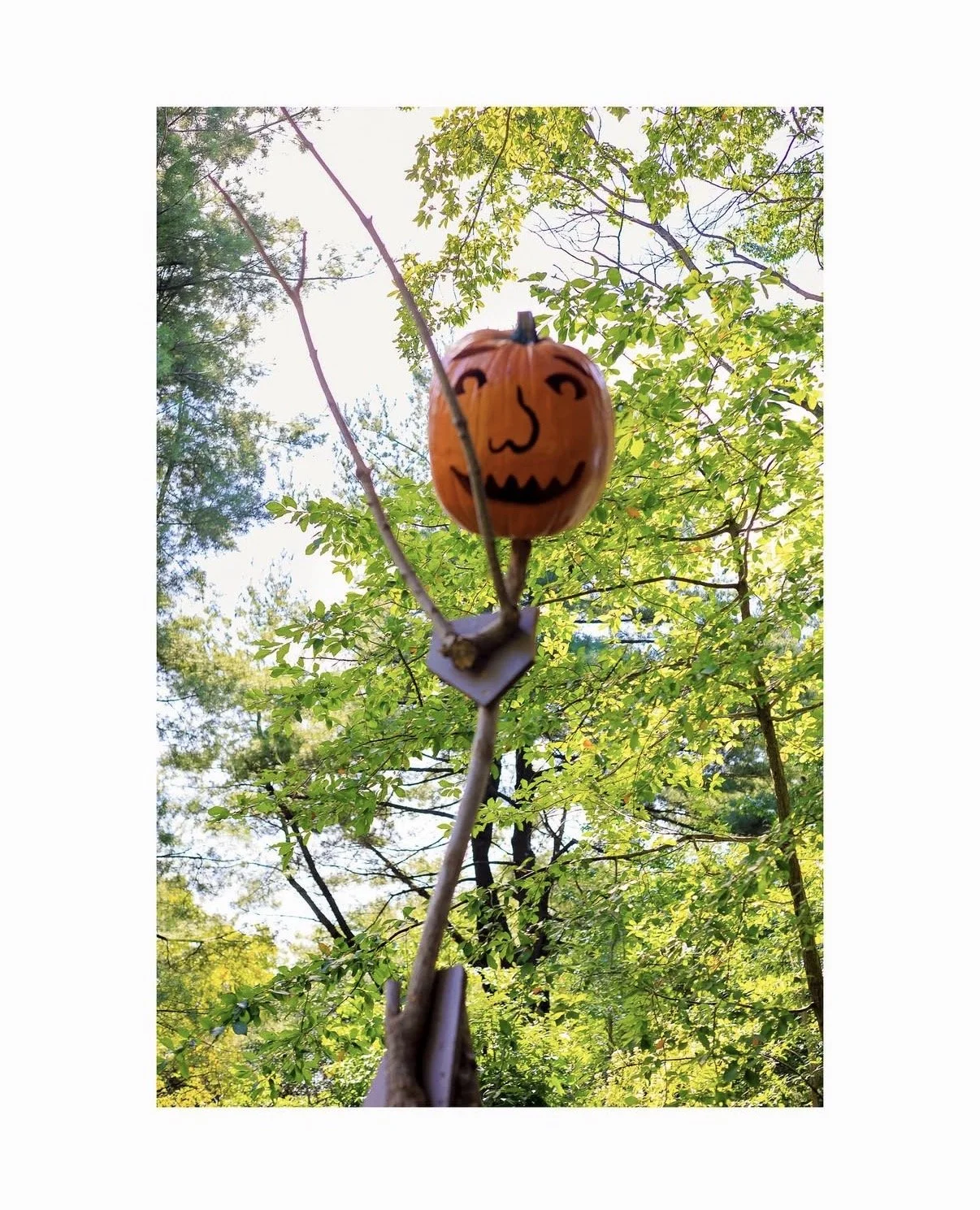 Carmen De La Cruz @nemracsphotos