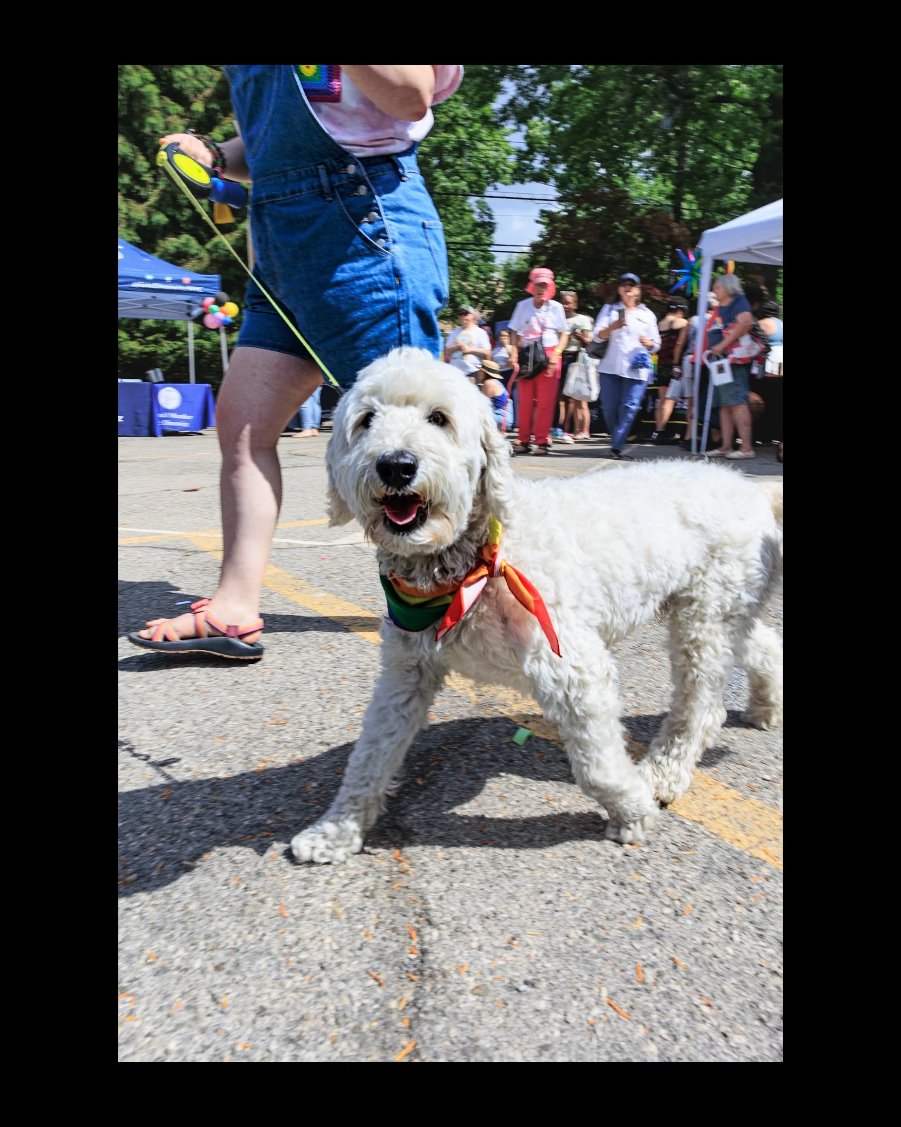 Carmen De La Cruz @nemracsphotos