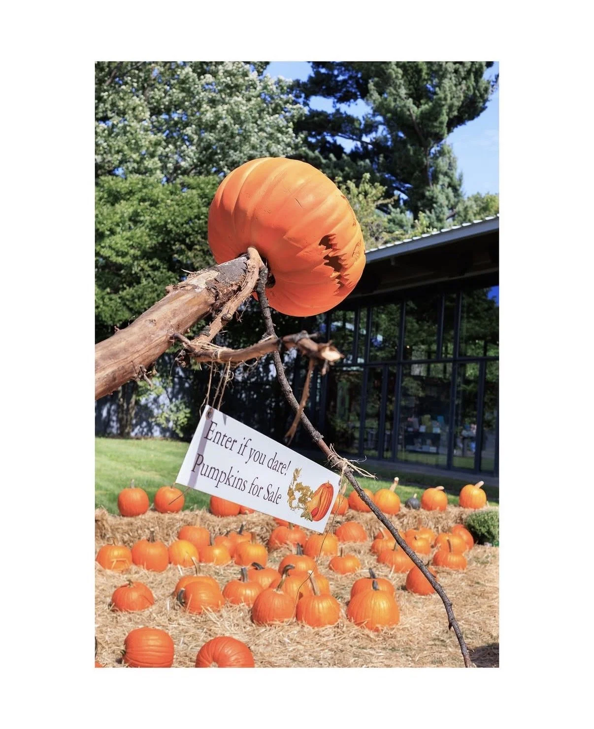 Carmen De La Cruz @nemracsphotos