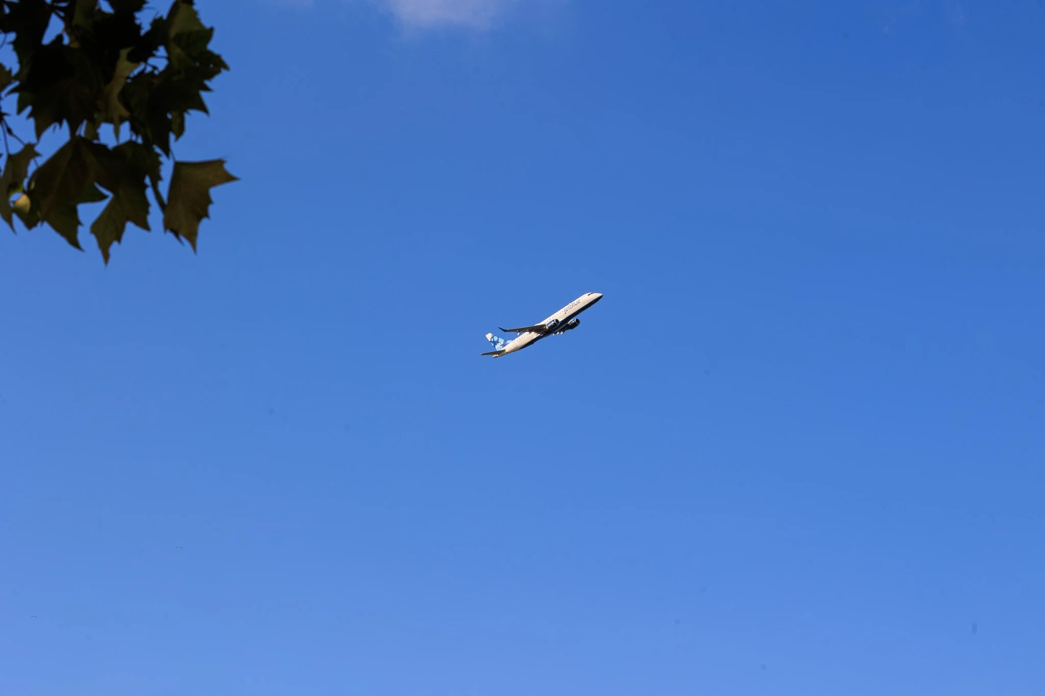 Carmen De La Cruz @nemracsphotos