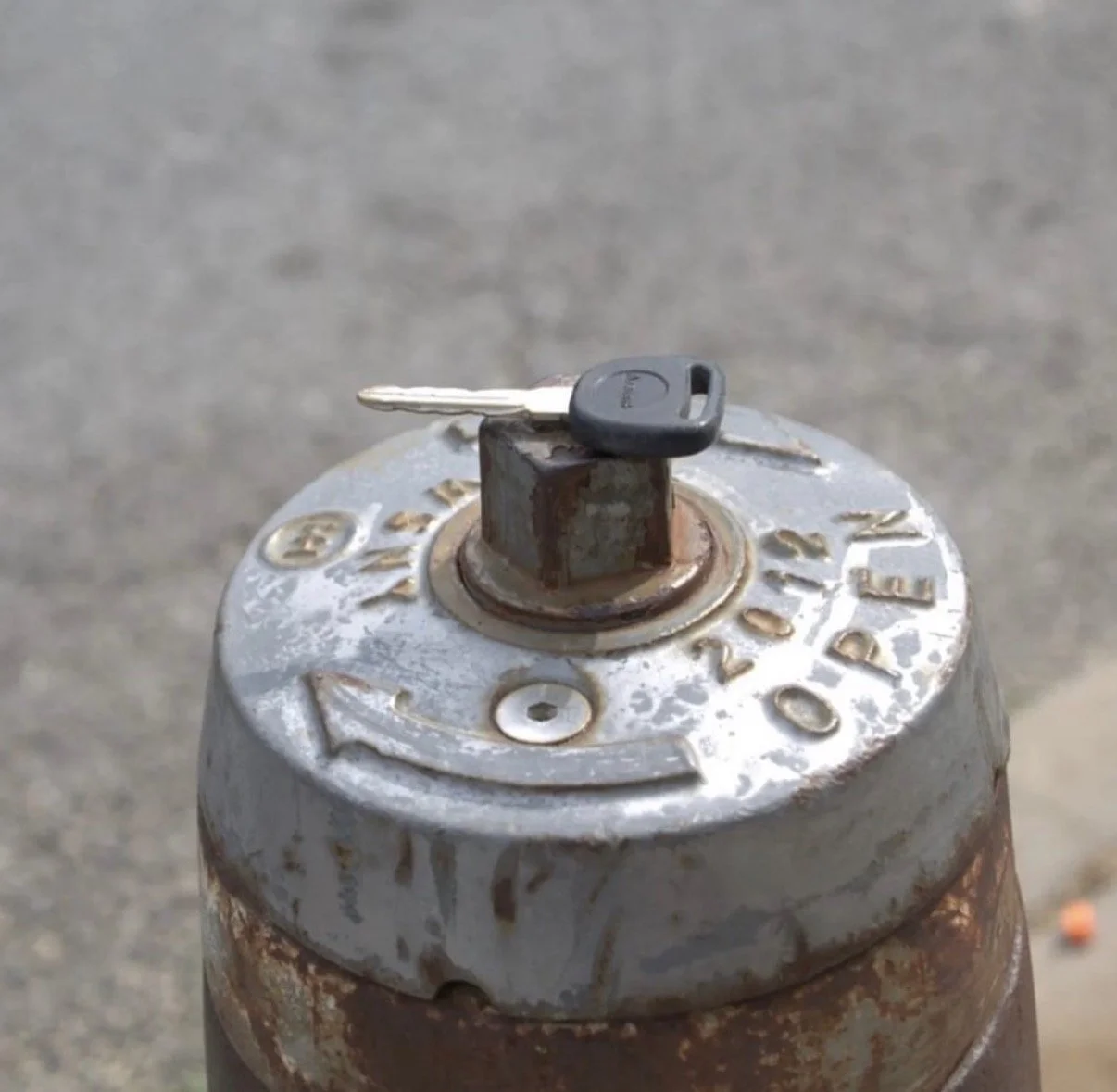 Celese Lopez @tasha10469