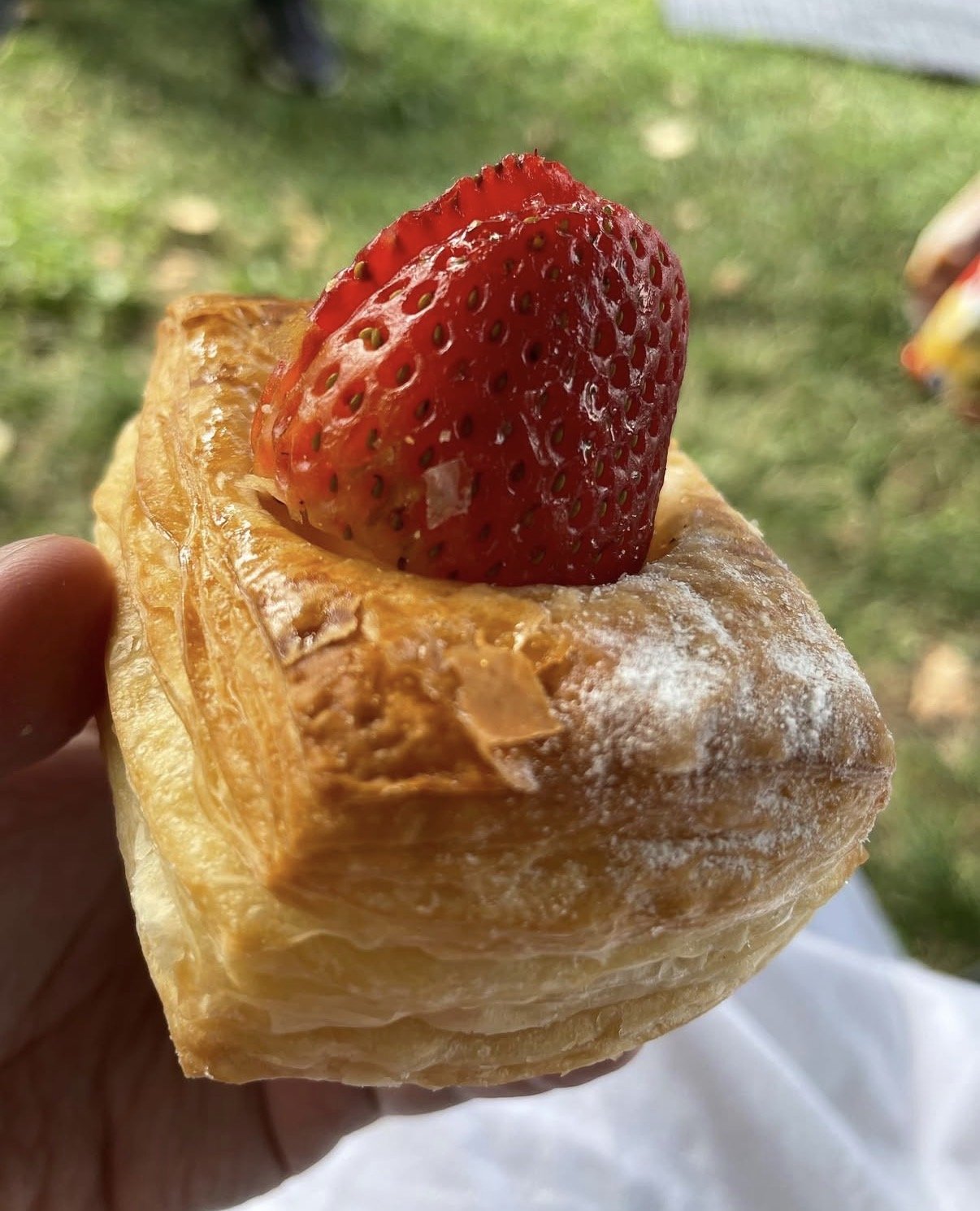 All images in this gallery taken by Carmen De La Cruz @nemracsphotos