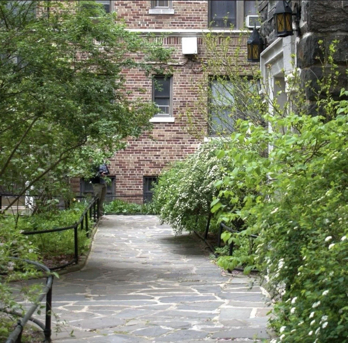 Celese Lopez @tasha10469