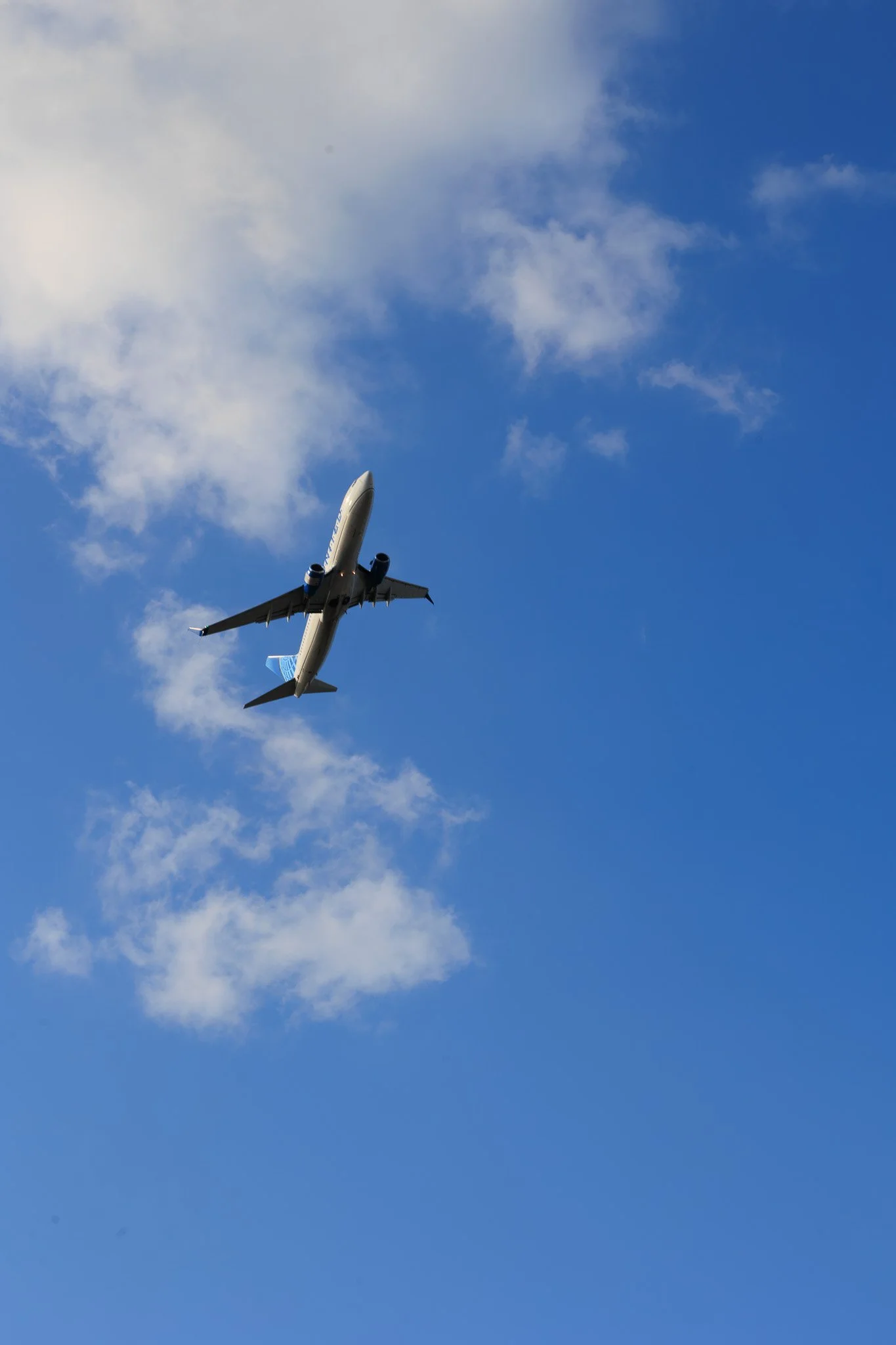 Carmen De La Cruz @nemracsphotos